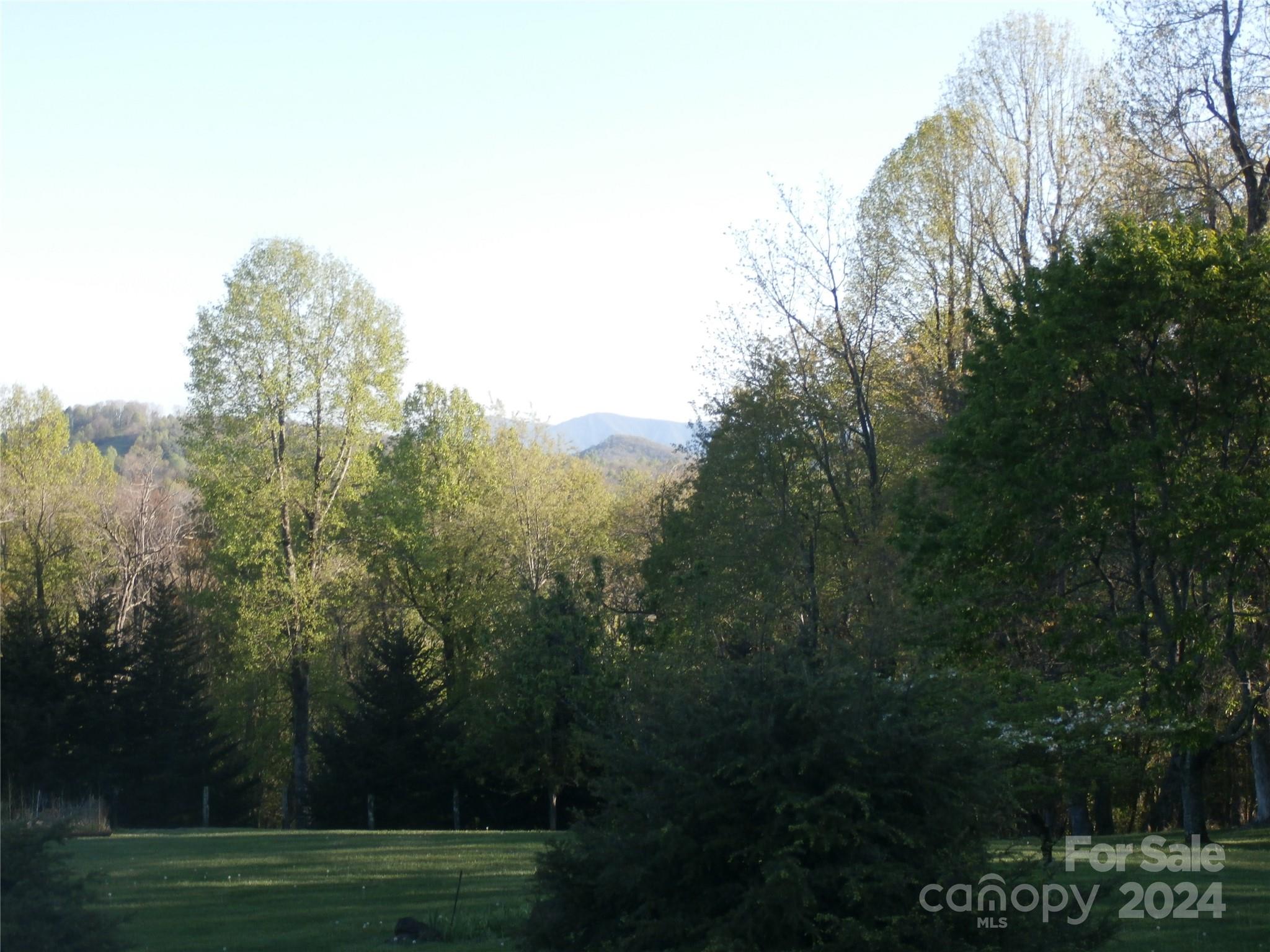 288 Firetower Road Property Photo 20