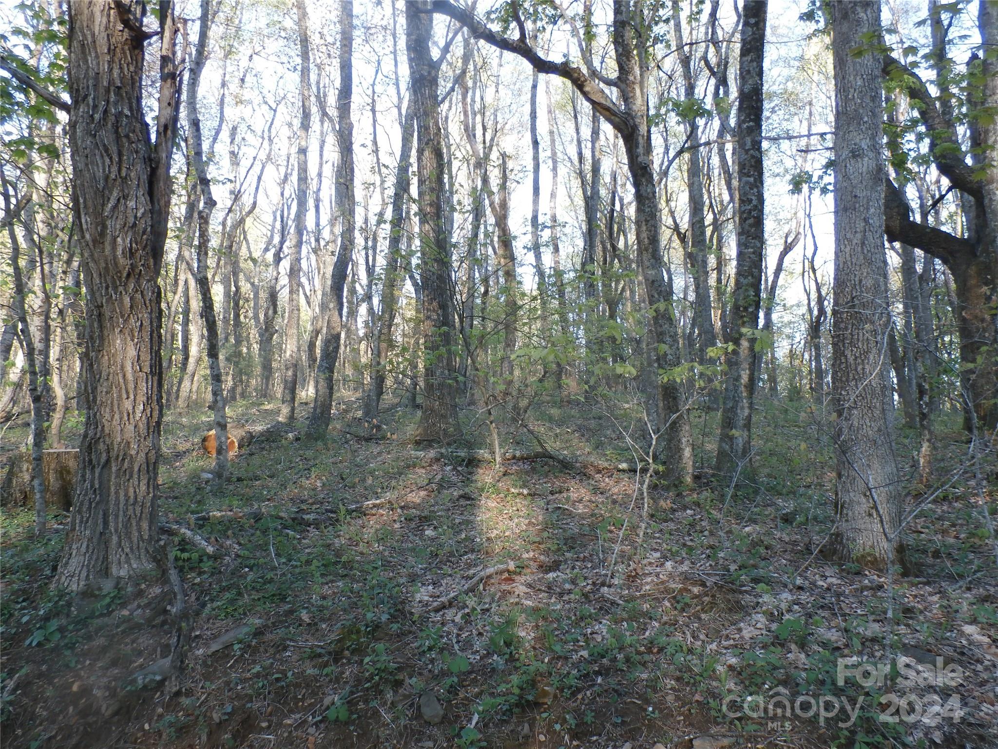 288 Firetower Road Property Photo 30