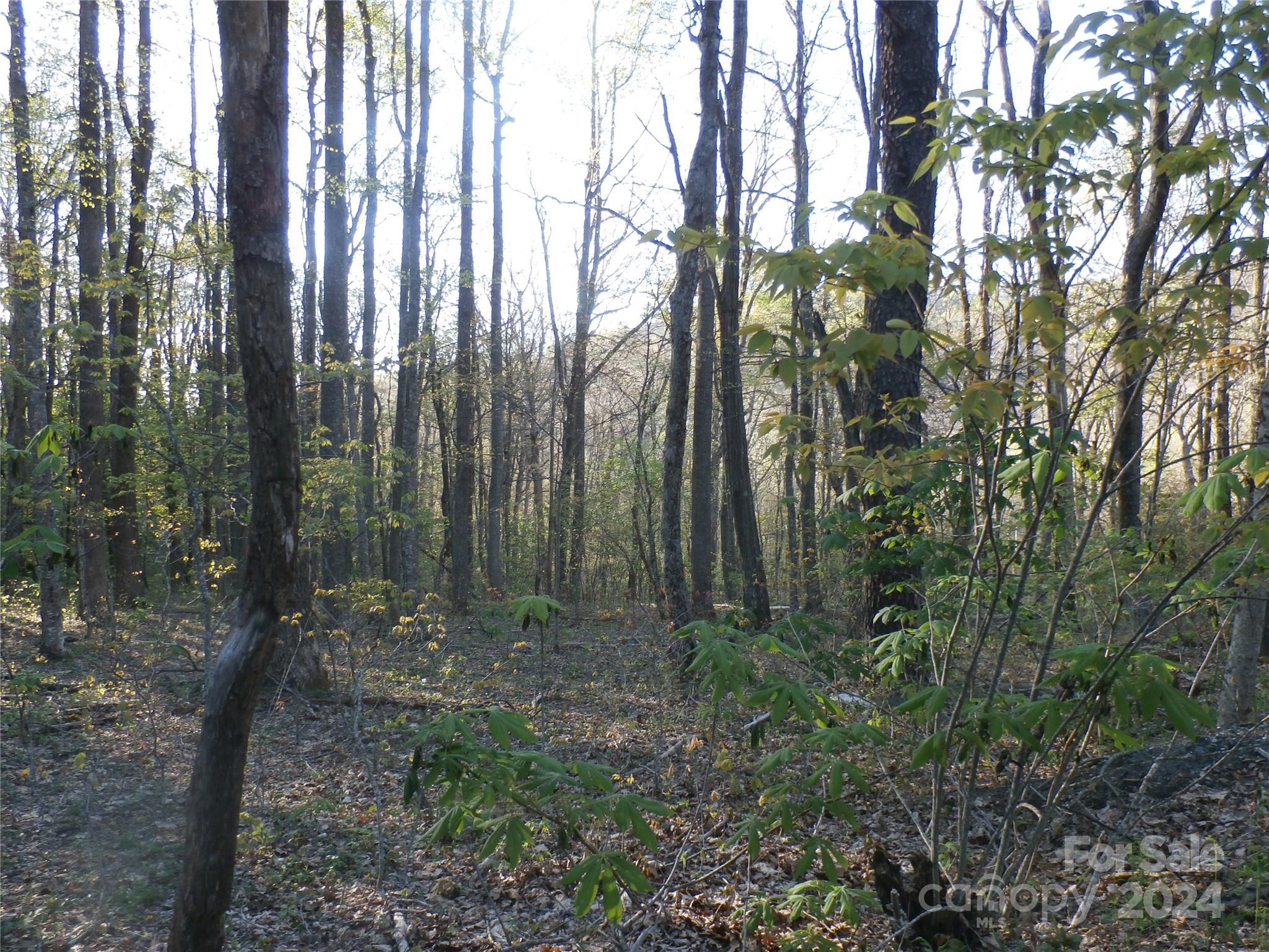 288 Firetower Road Property Photo 31