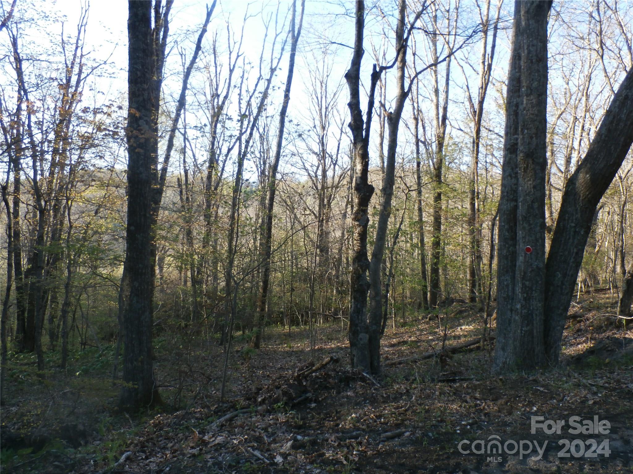 288 Firetower Road Property Photo 32