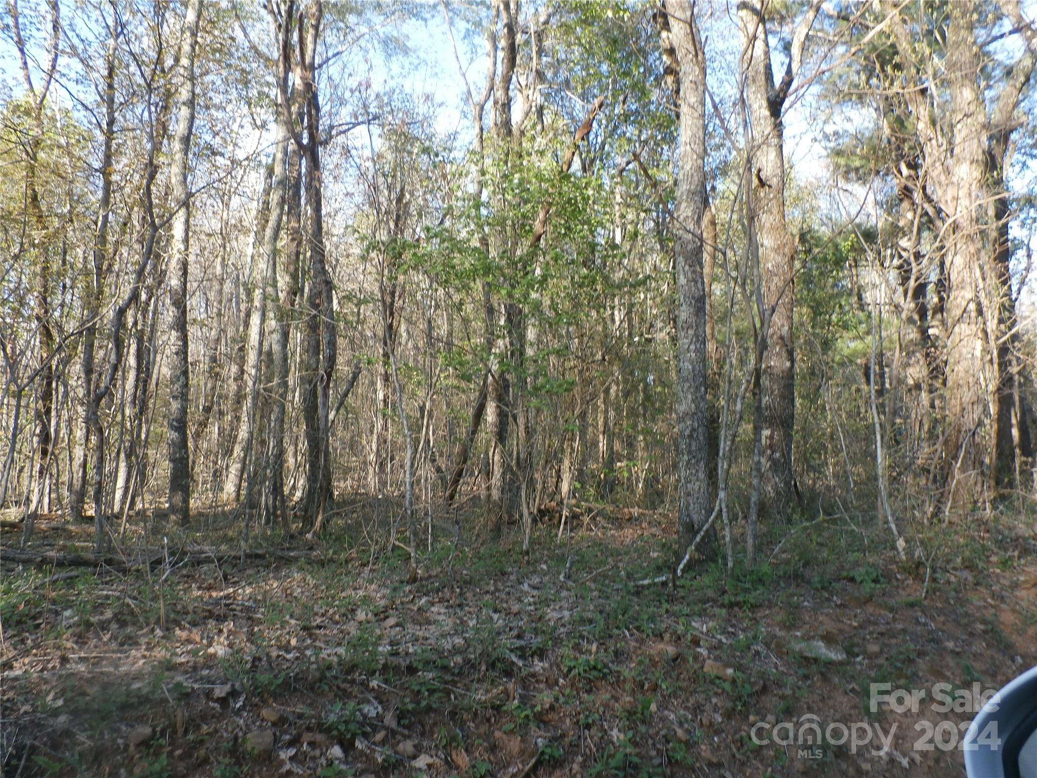 288 Firetower Road Property Photo 33