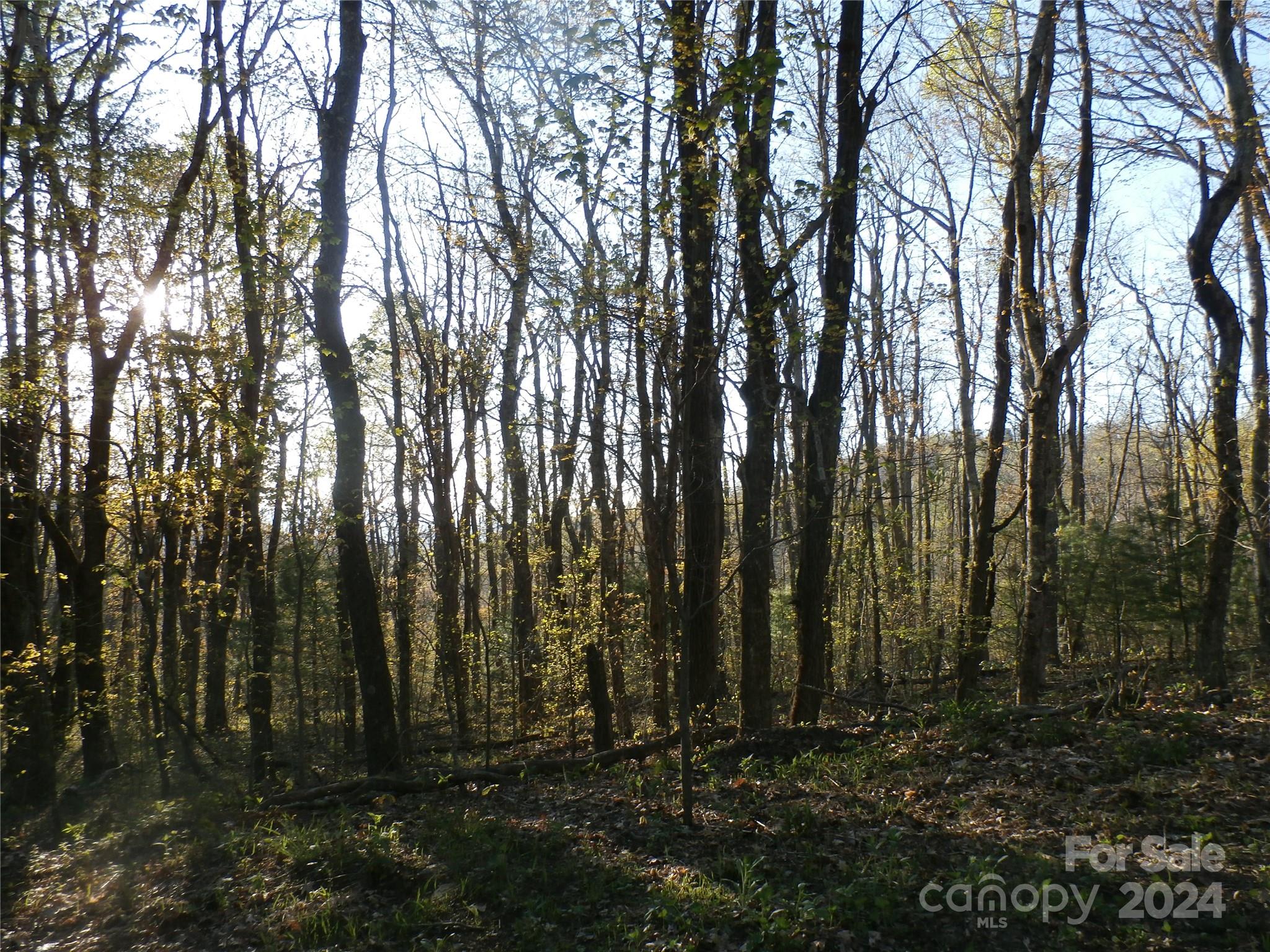 288 Firetower Road Property Photo 34