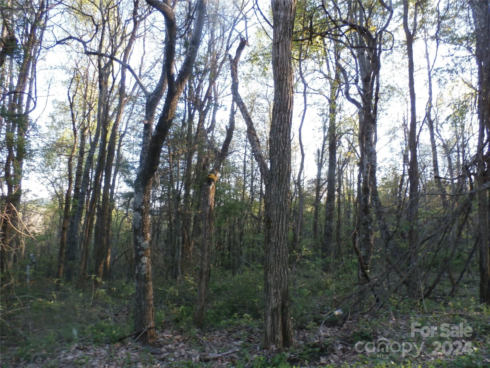 288 Firetower Road Property Photo 35