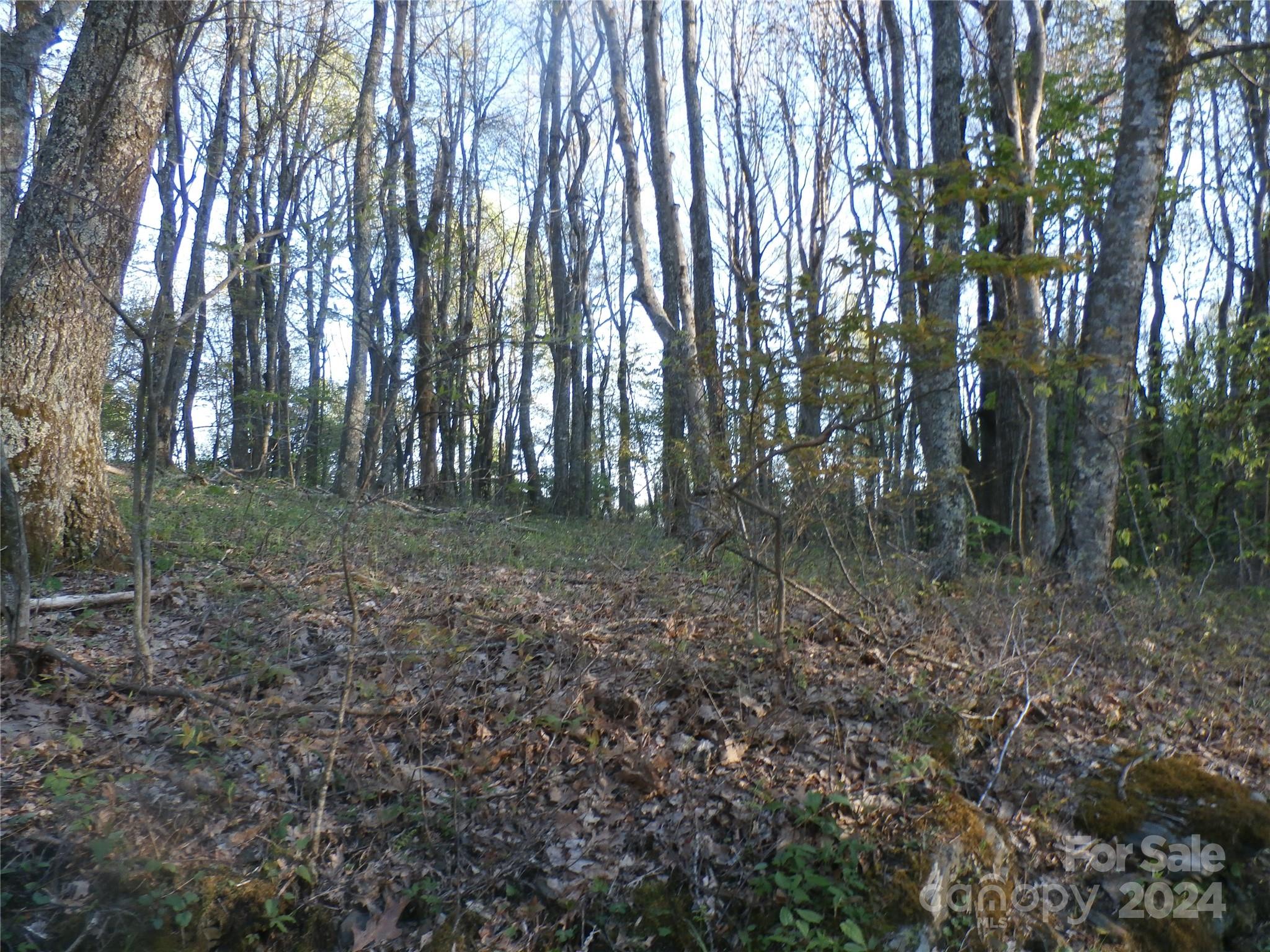288 Firetower Road Property Photo 36
