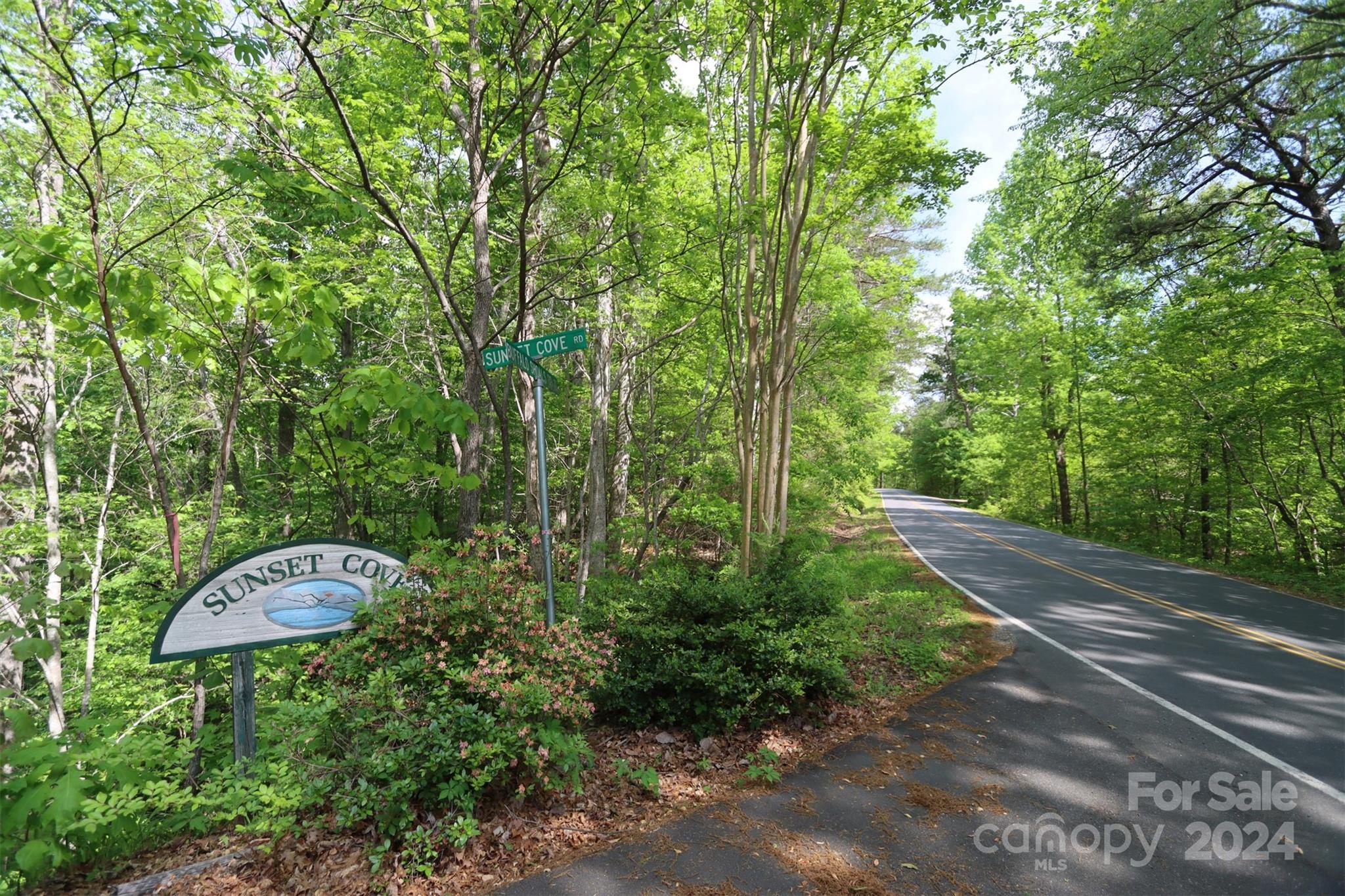 00 Buffalo Shoals Road Property Photo 1