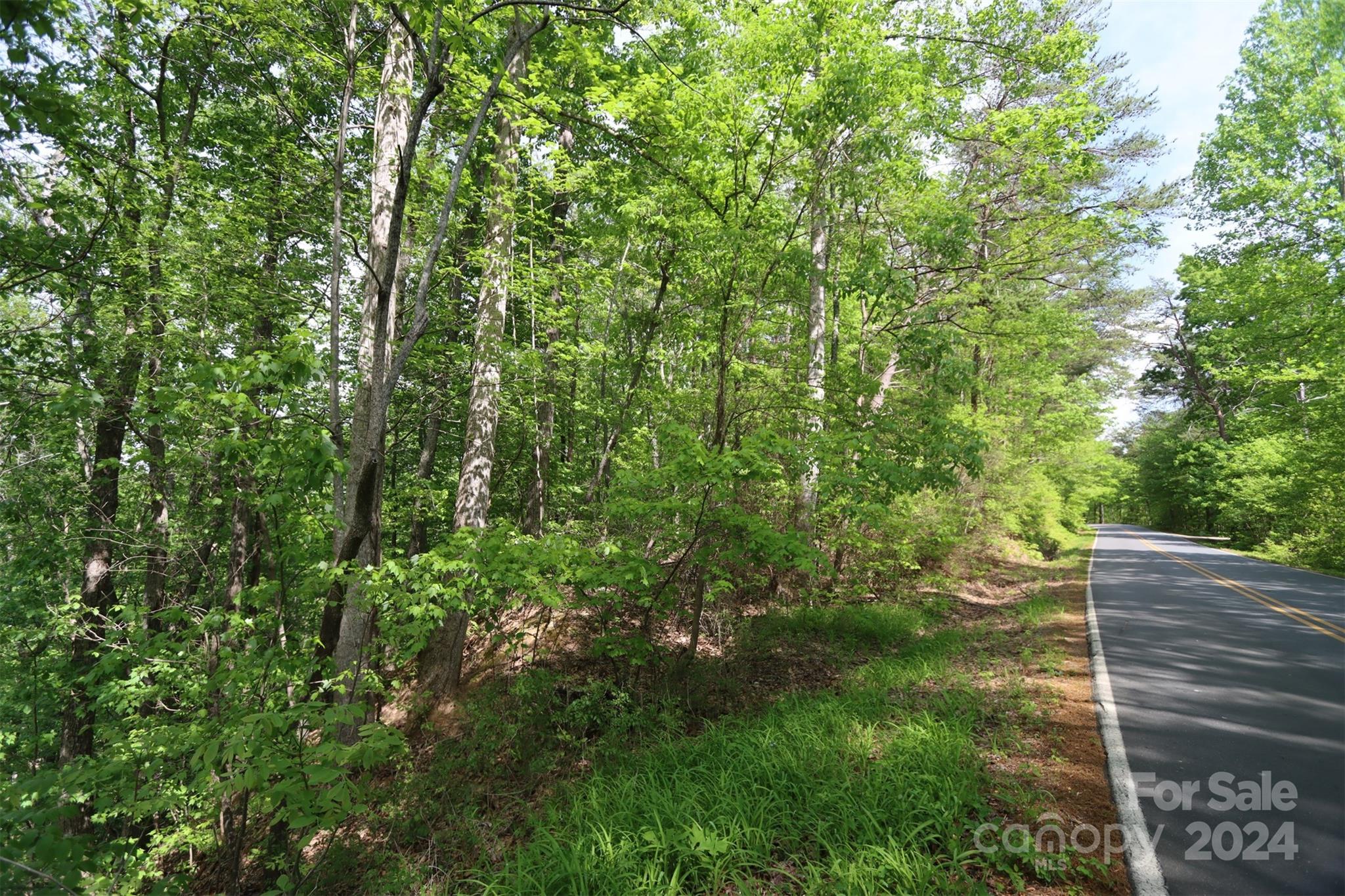 00 Buffalo Shoals Road Property Photo 2
