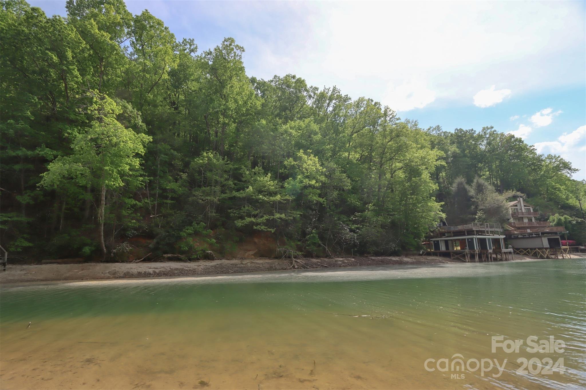 00 Buffalo Shoals Road Property Photo 10