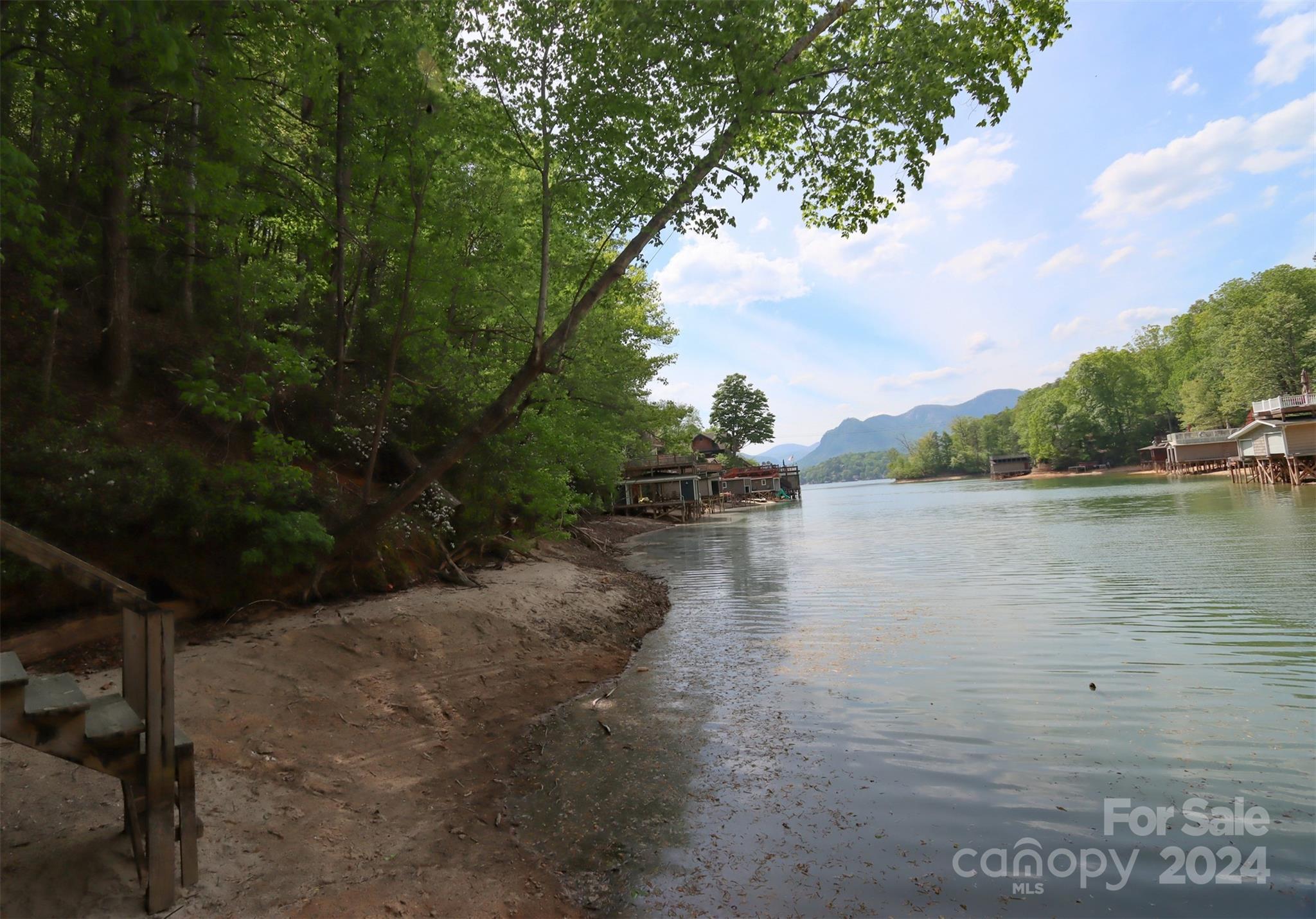00 Buffalo Shoals Road Property Photo 11
