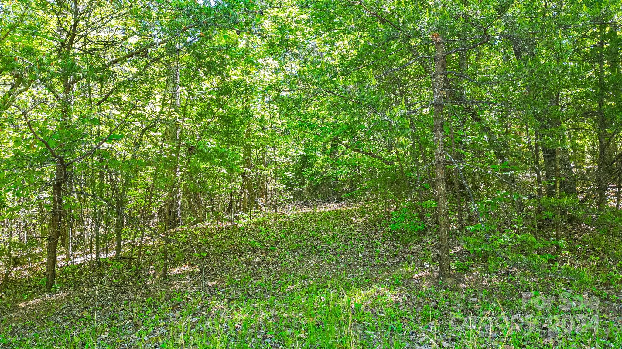 0 W T Wilkins Road 11 Property Photo 3