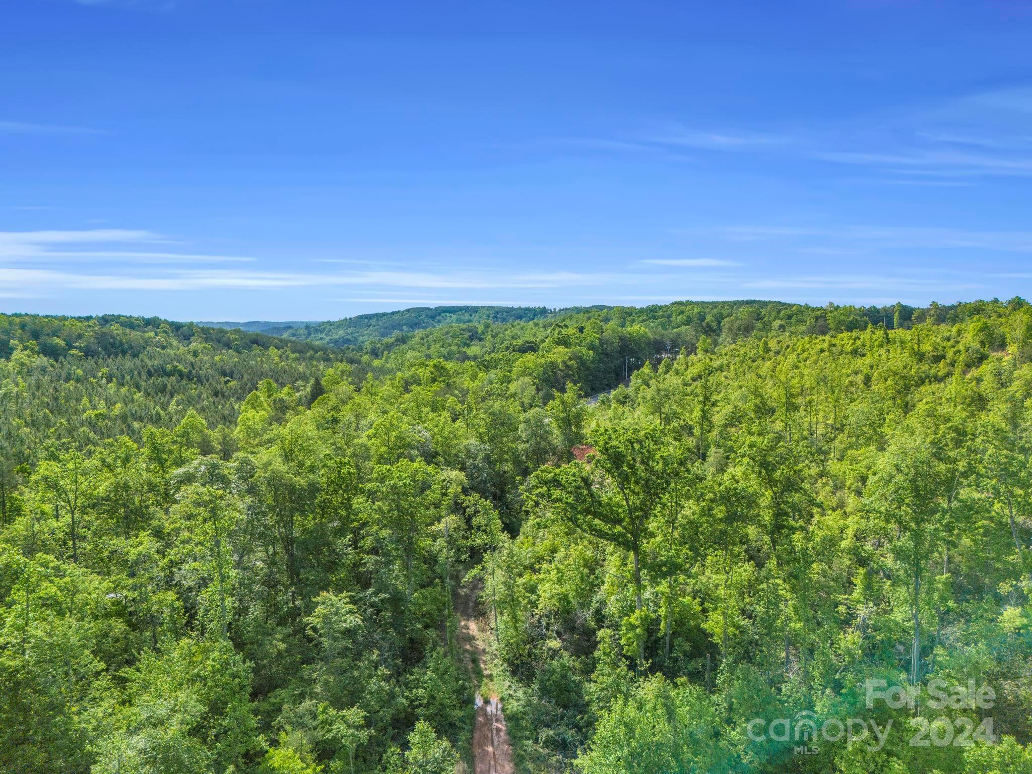 0 Bills Creek Road Property Photo 3