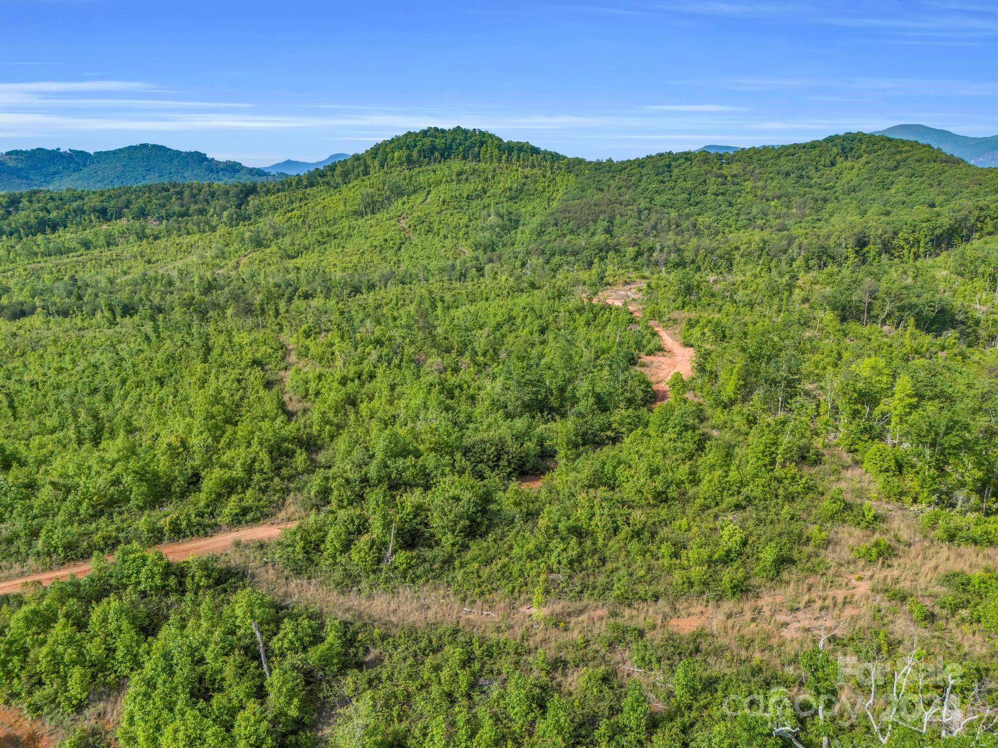 0 Bills Creek Road Property Photo 8