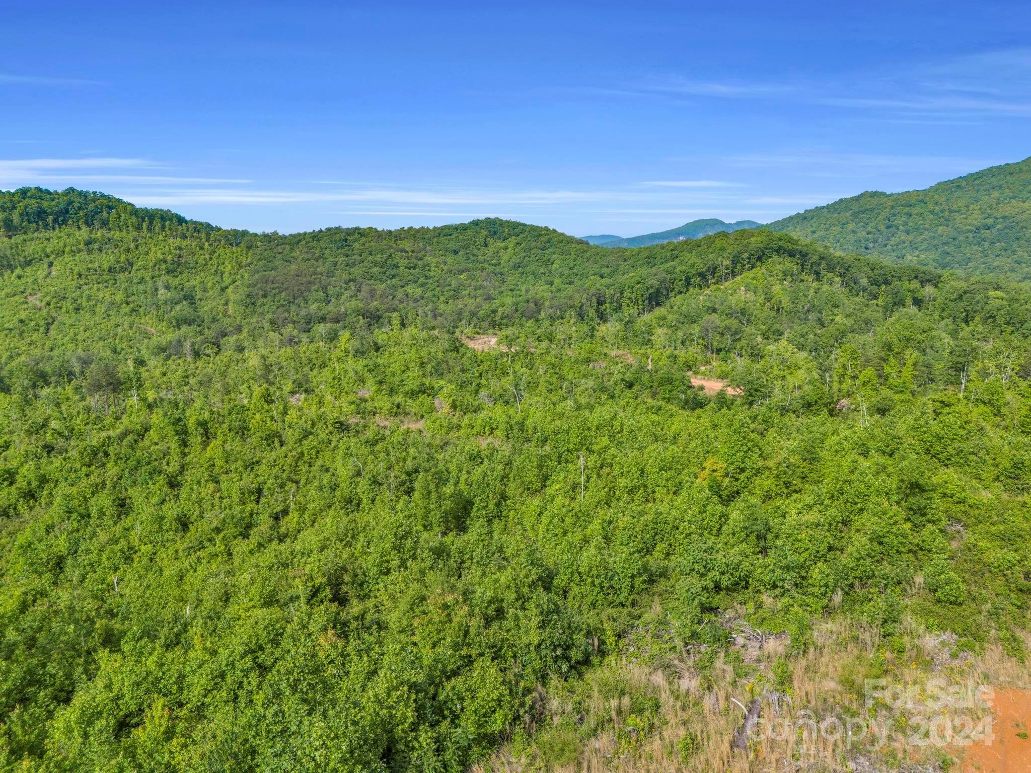 0 Bills Creek Road Property Photo 9
