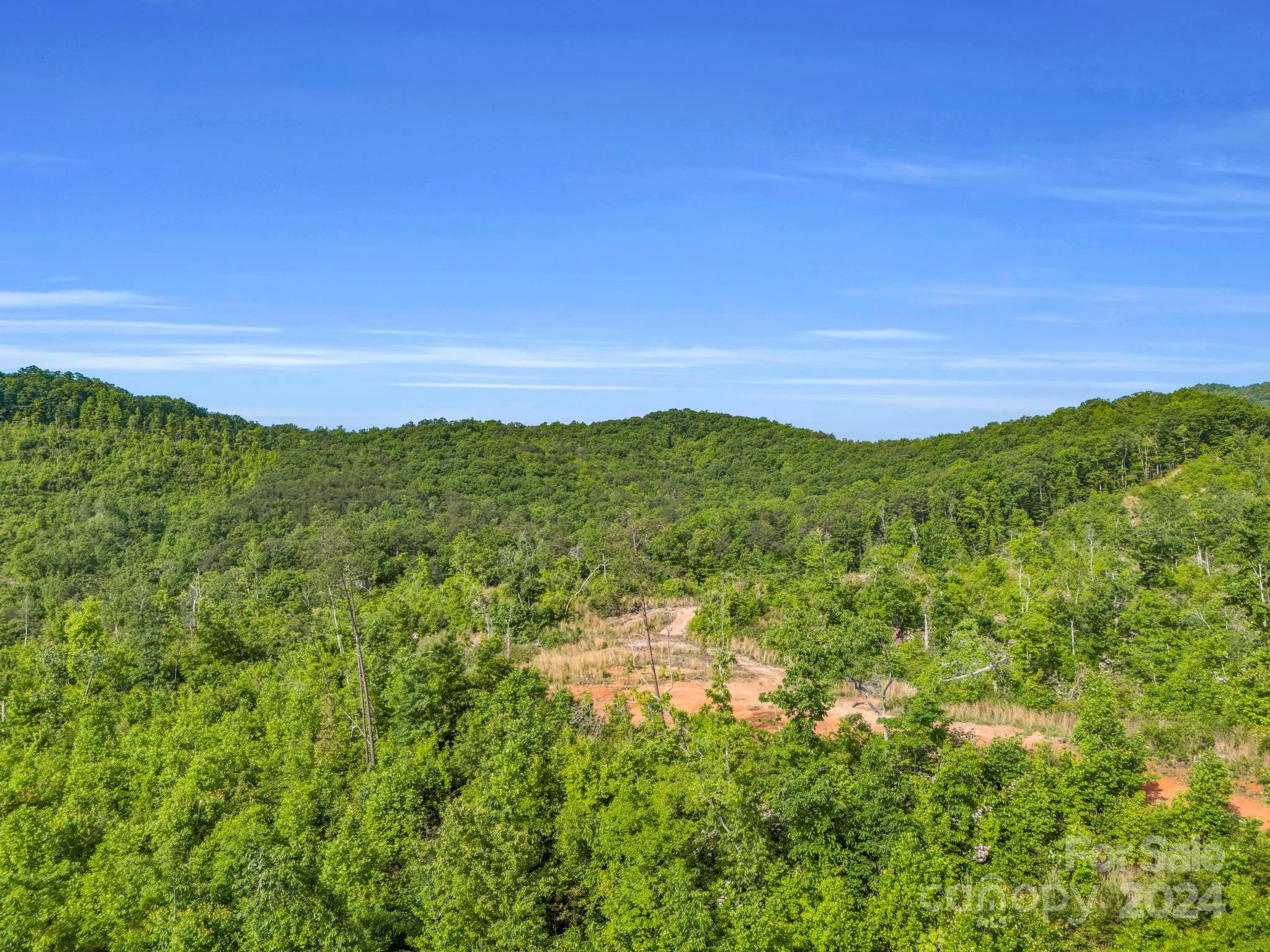 0 Bills Creek Road Property Photo 10