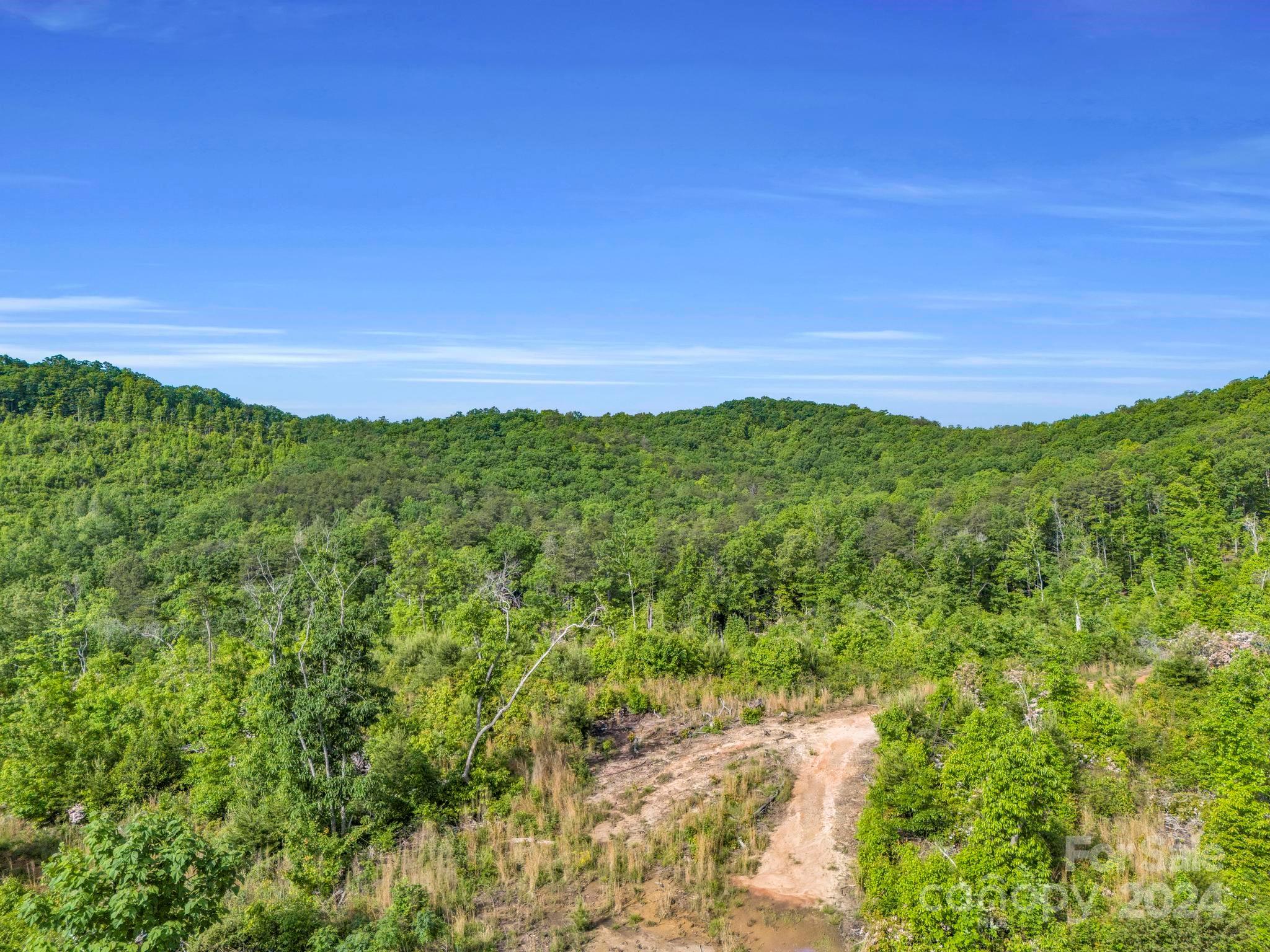 0 Bills Creek Road Property Photo 11