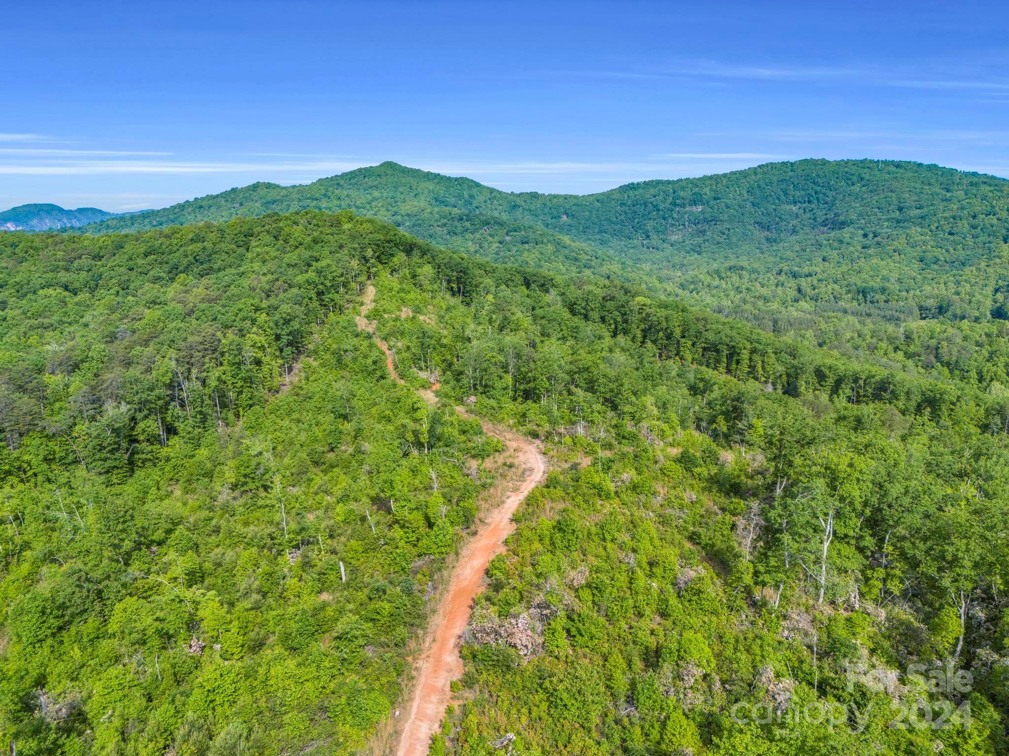 0 Bills Creek Road Property Photo 12