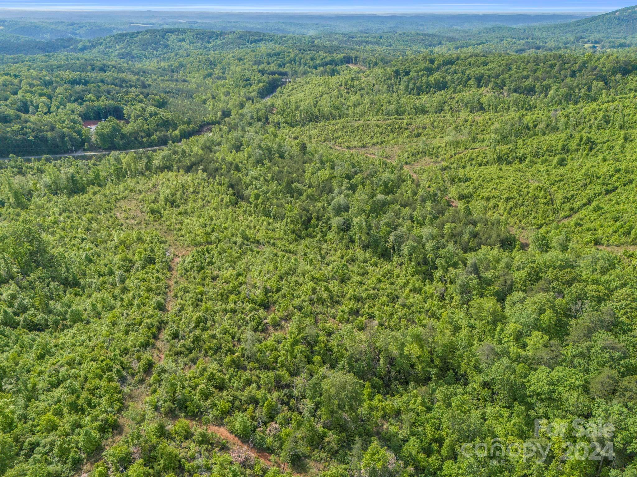0 Bills Creek Road Property Photo 15