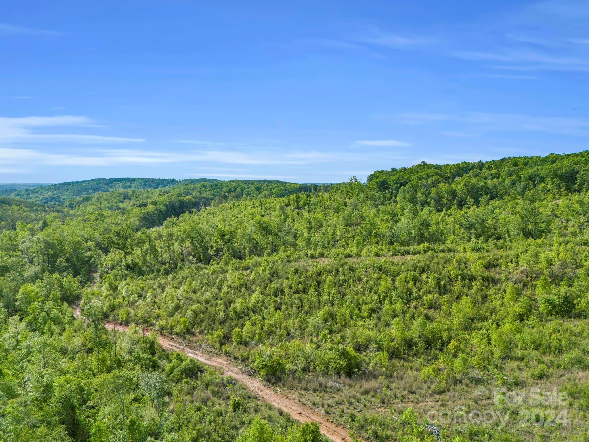 0 Bills Creek Road Property Photo 16