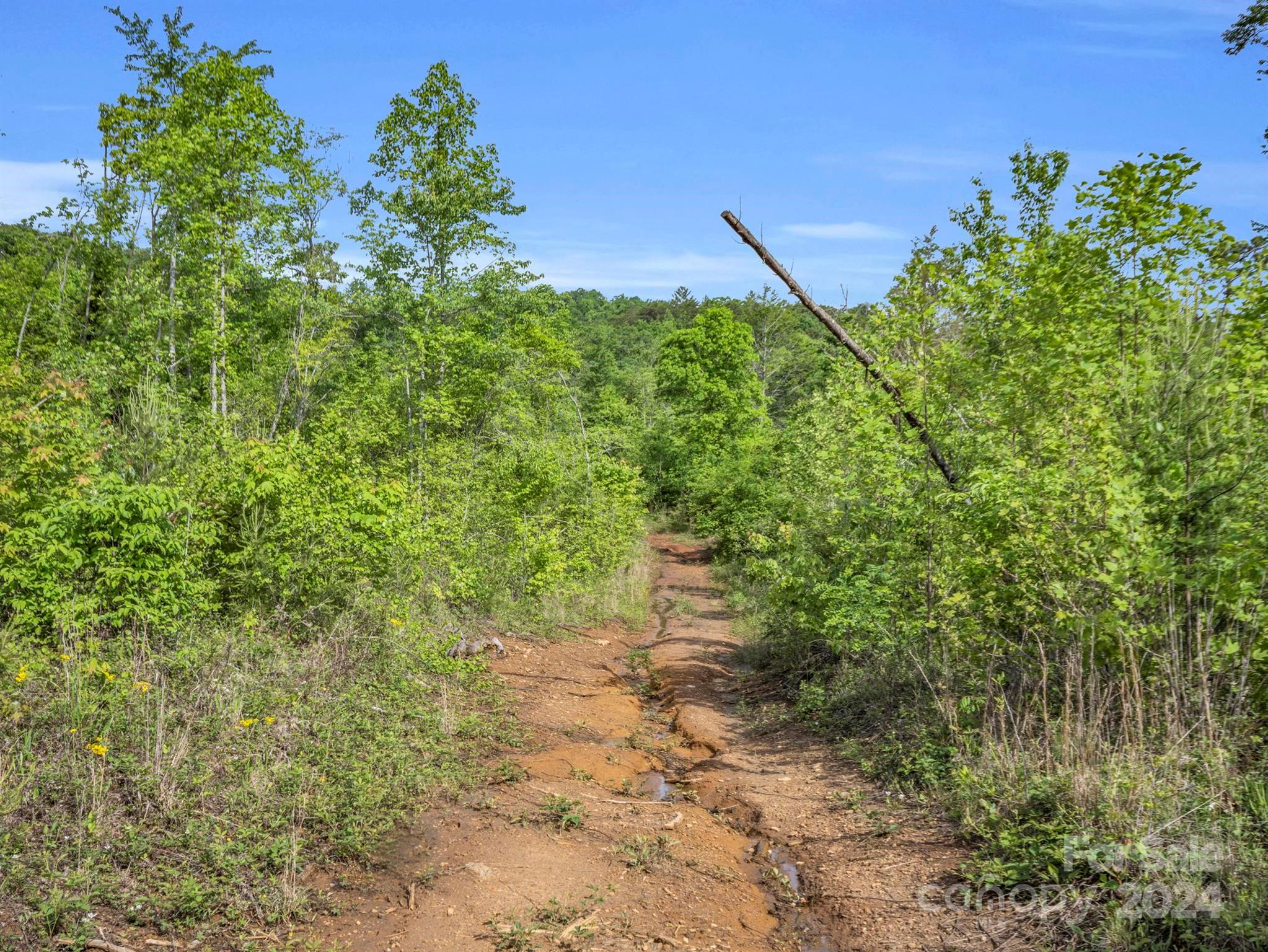 0 Bills Creek Road Property Photo 23