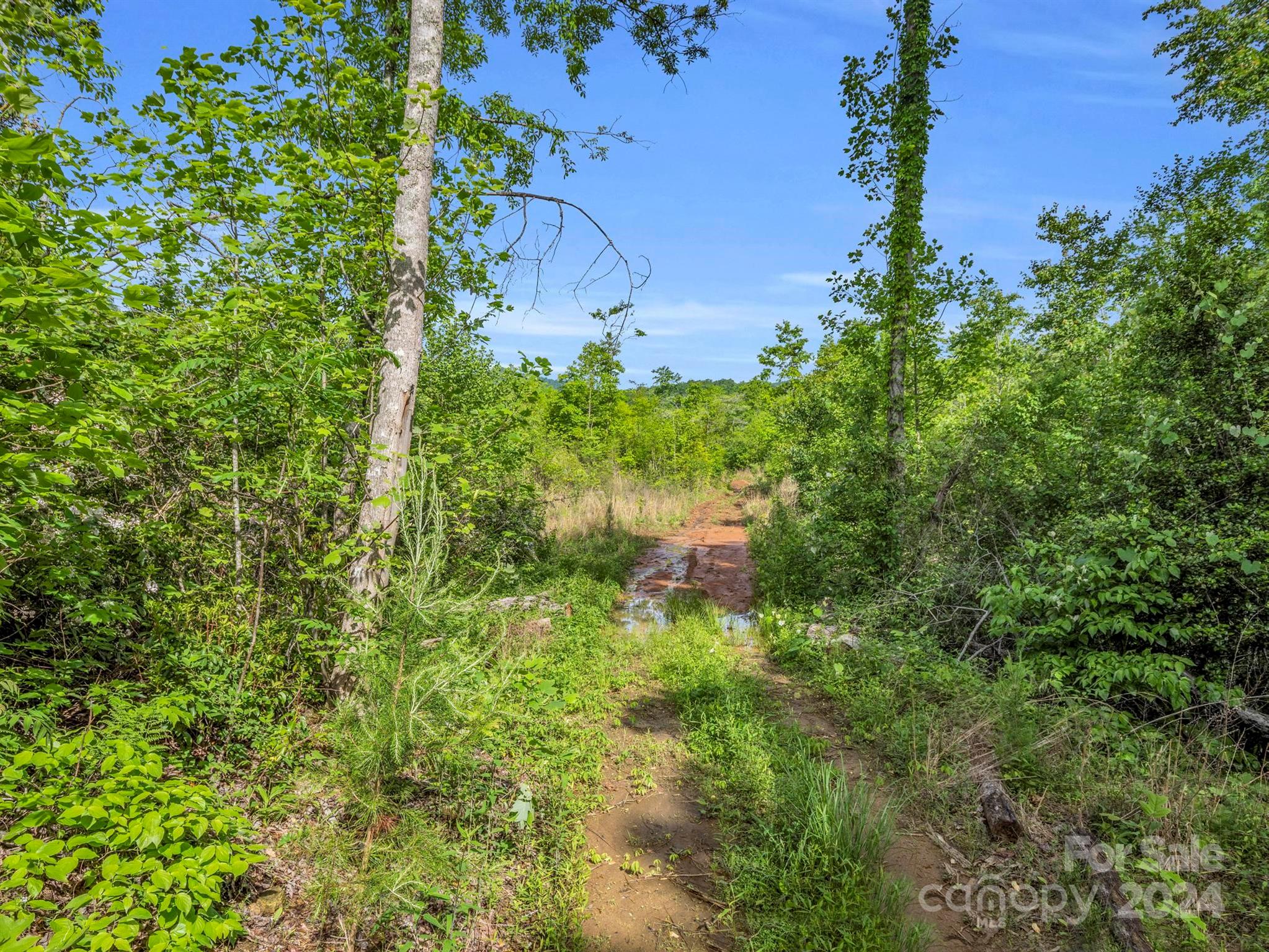 0 Bills Creek Road Property Photo 24