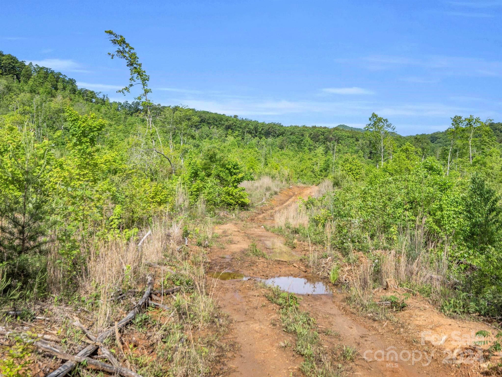 0 Bills Creek Road Property Photo 25