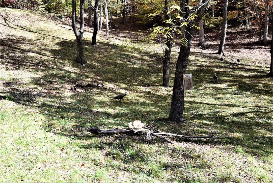 115 B Campbell Mountain Drive Lot 115b The Knolls Property Photo 10