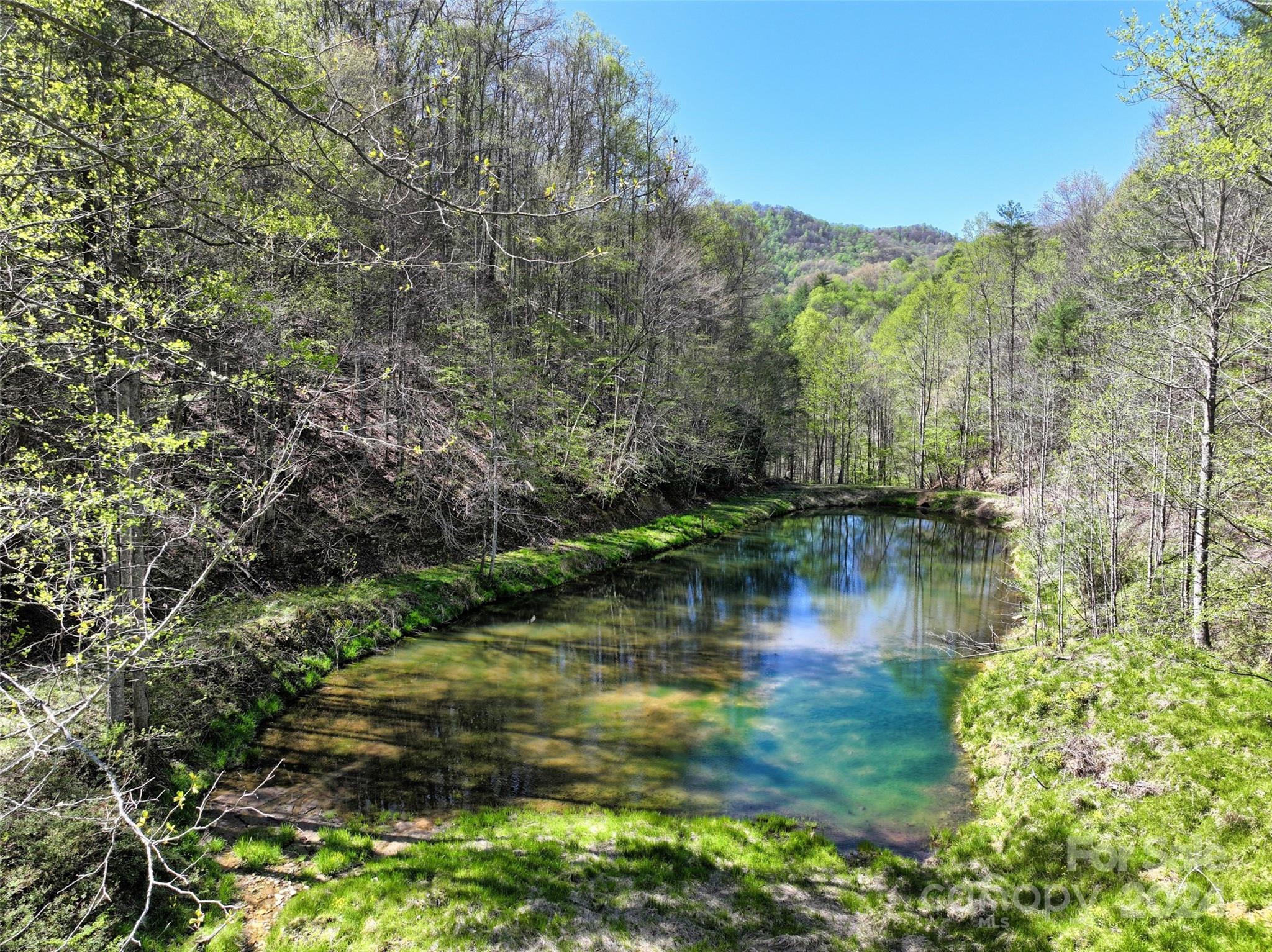 2180 Pigeon Roost Road Property Photo 6