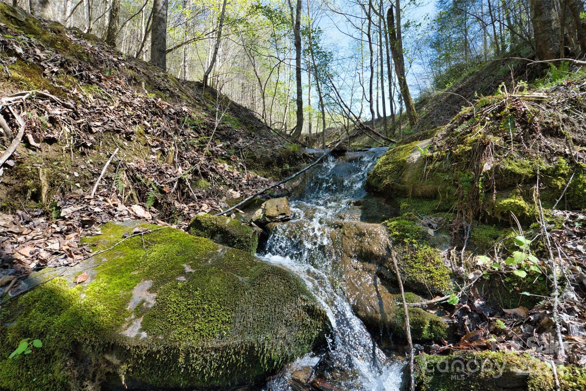 2180 Pigeon Roost Road Property Photo 7