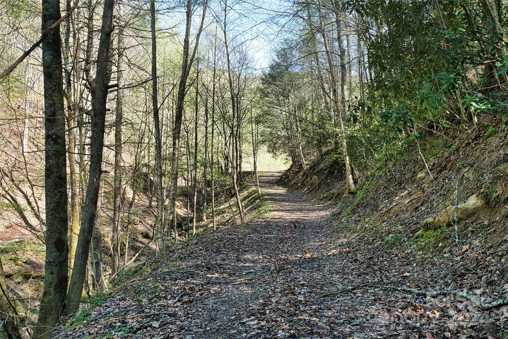 2180 Pigeon Roost Road Property Photo 30