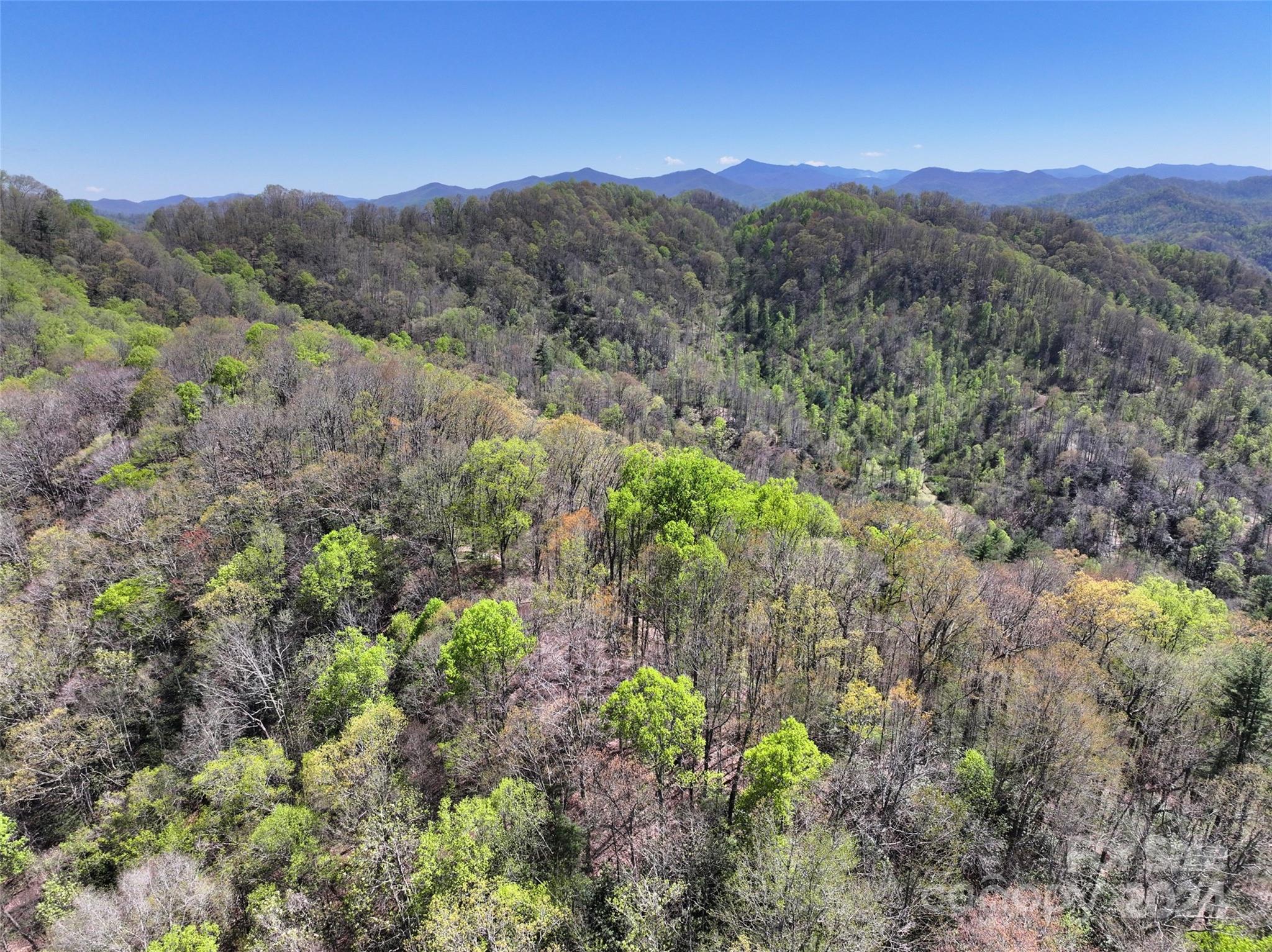 2180 Pigeon Roost Road Property Photo 36