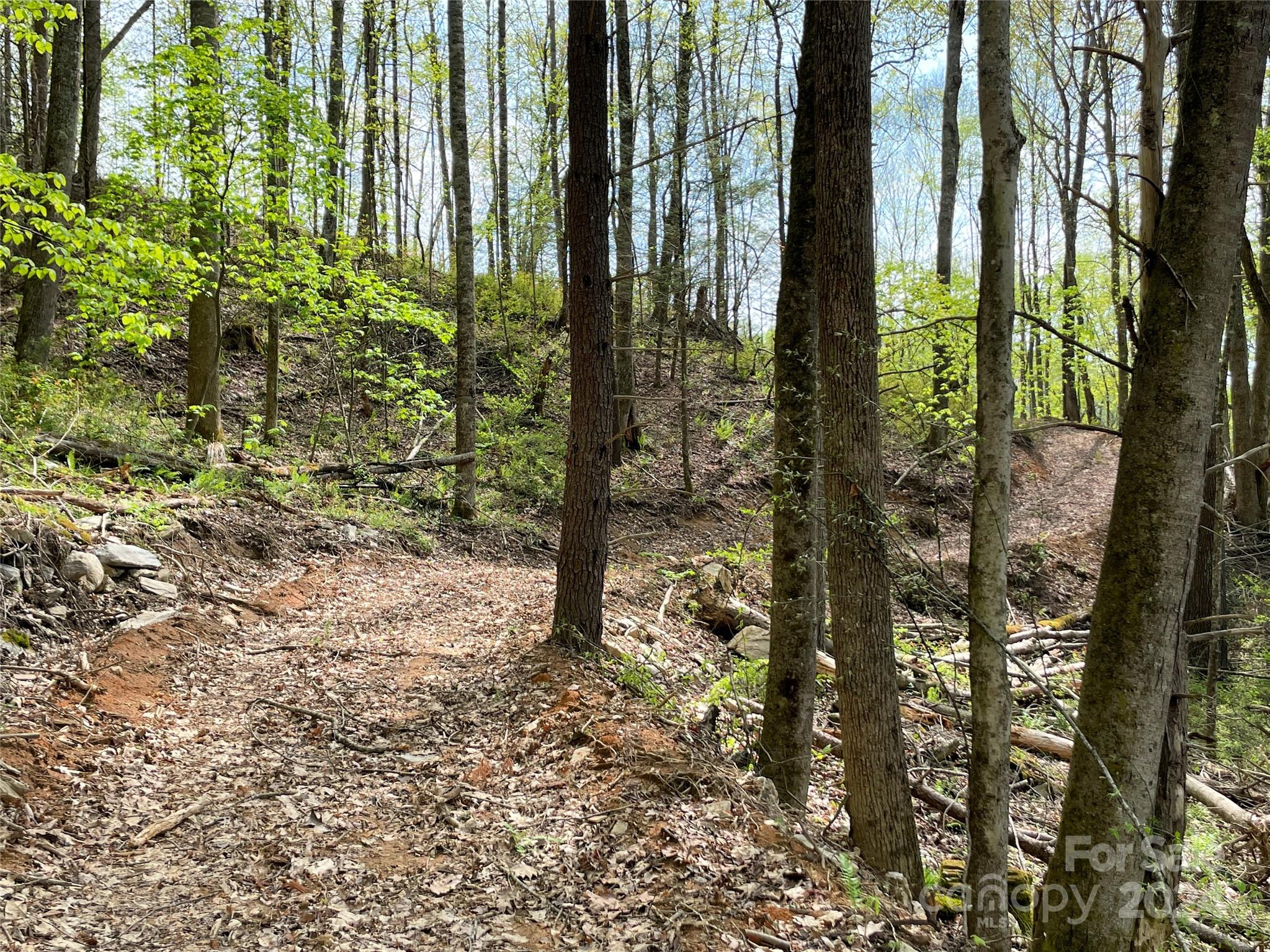 2180 Pigeon Roost Road Property Photo 39
