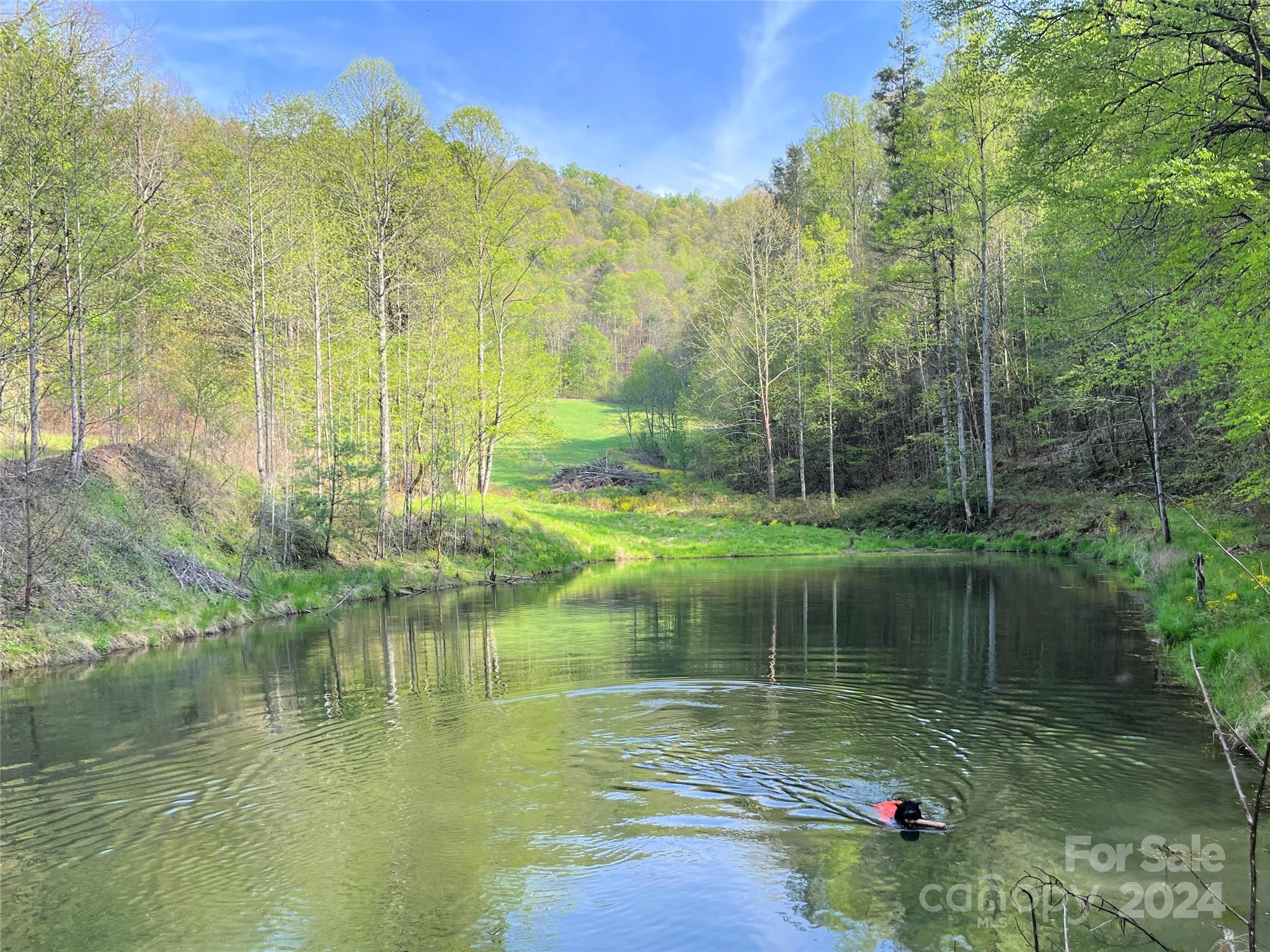 2180 Pigeon Roost Road Property Photo 47