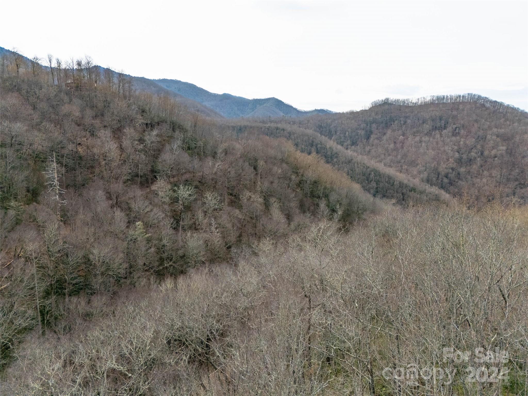 Lot 111 Cranberry Creek Road Property Photo 3