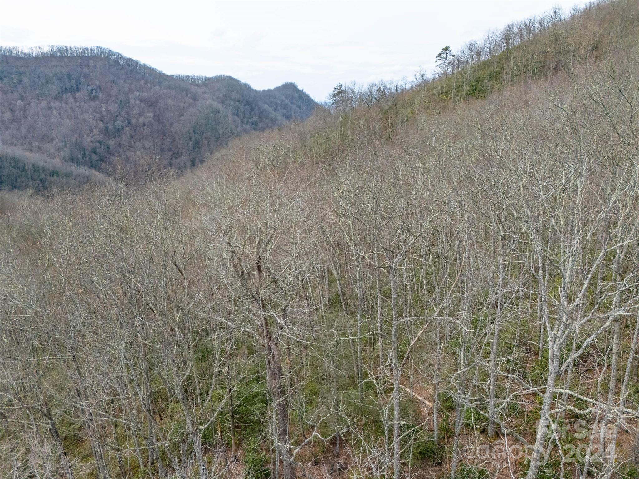 Lot 111 Cranberry Creek Road Property Photo 4