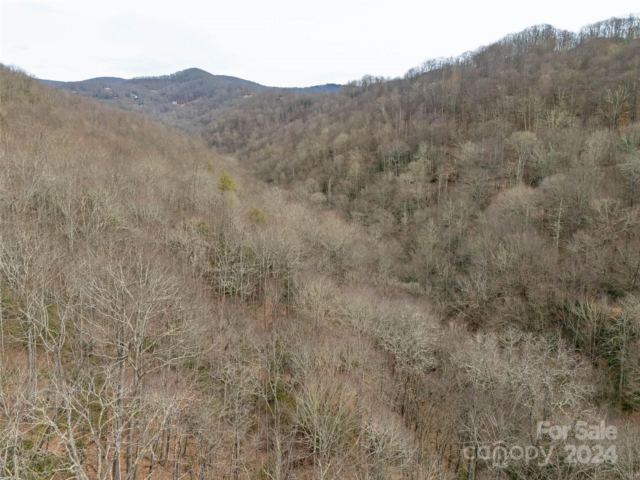 Lot 111 Cranberry Creek Road Property Photo 5