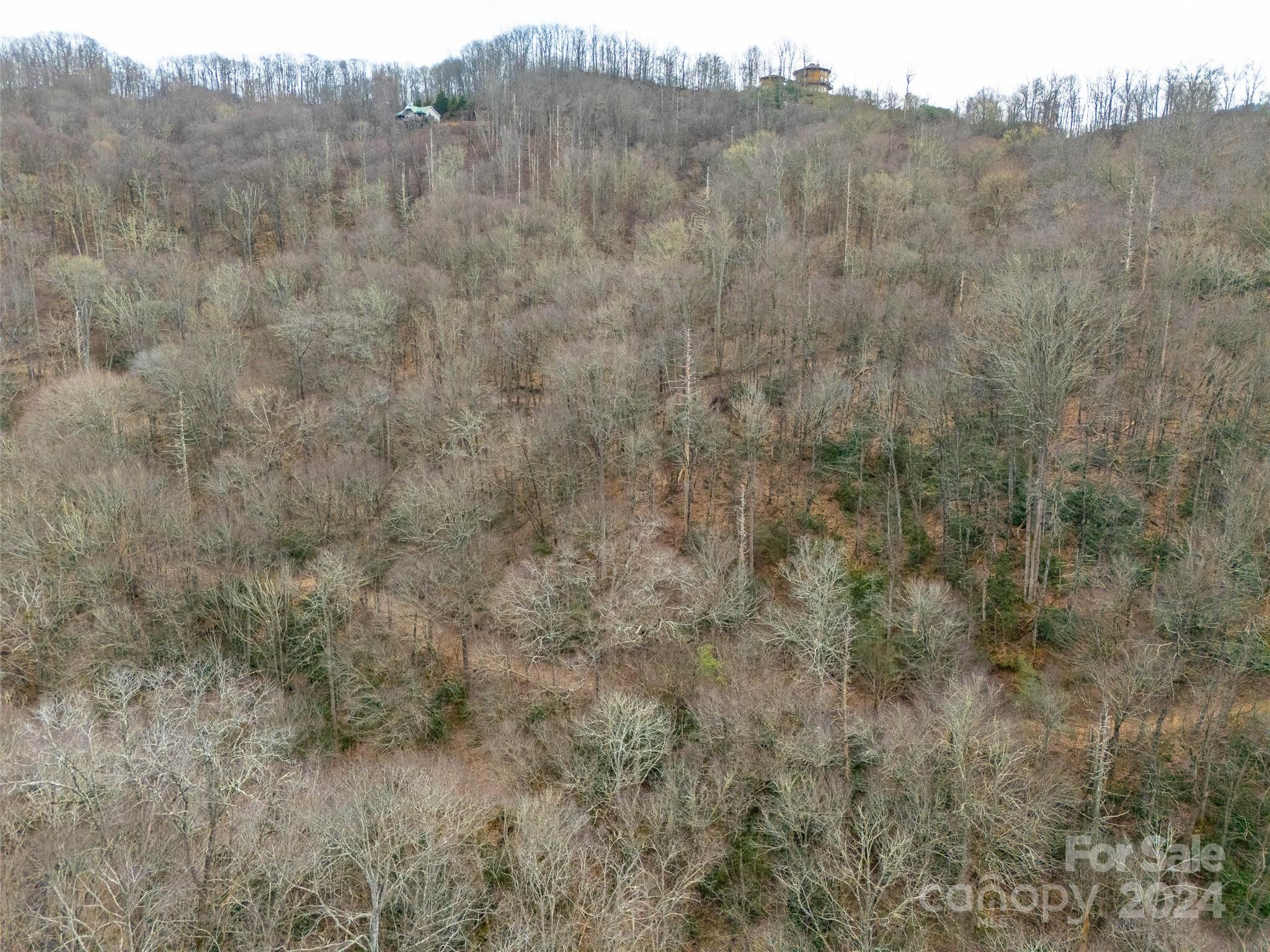 Lot 111 Cranberry Creek Road Property Photo 6