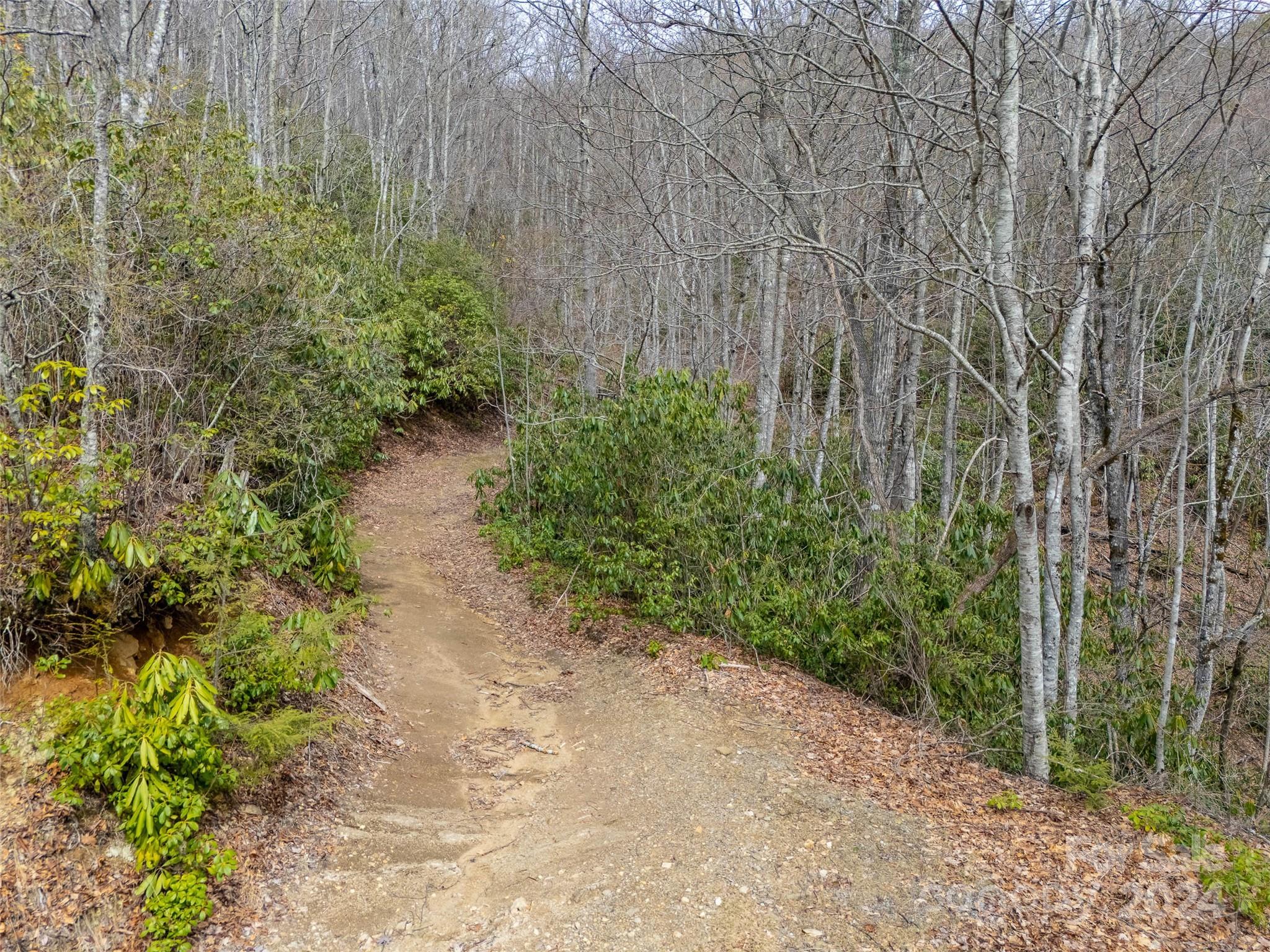 Lot 111 Cranberry Creek Road Property Photo 7