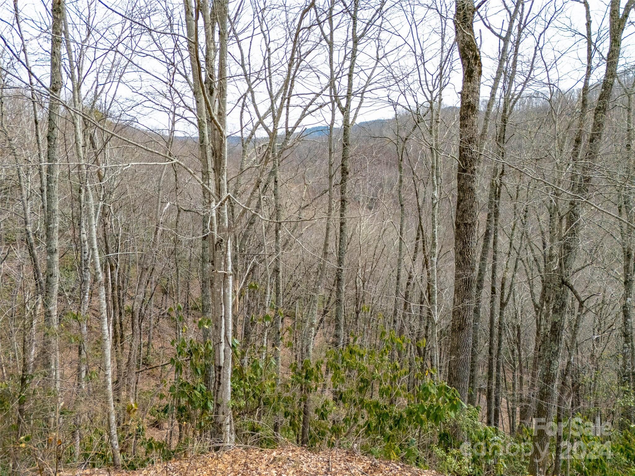 Lot 111 Cranberry Creek Road Property Photo 8