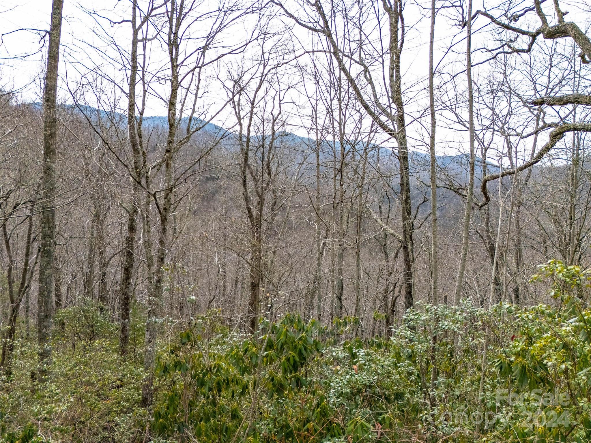 Lot 111 Cranberry Creek Road Property Photo 9