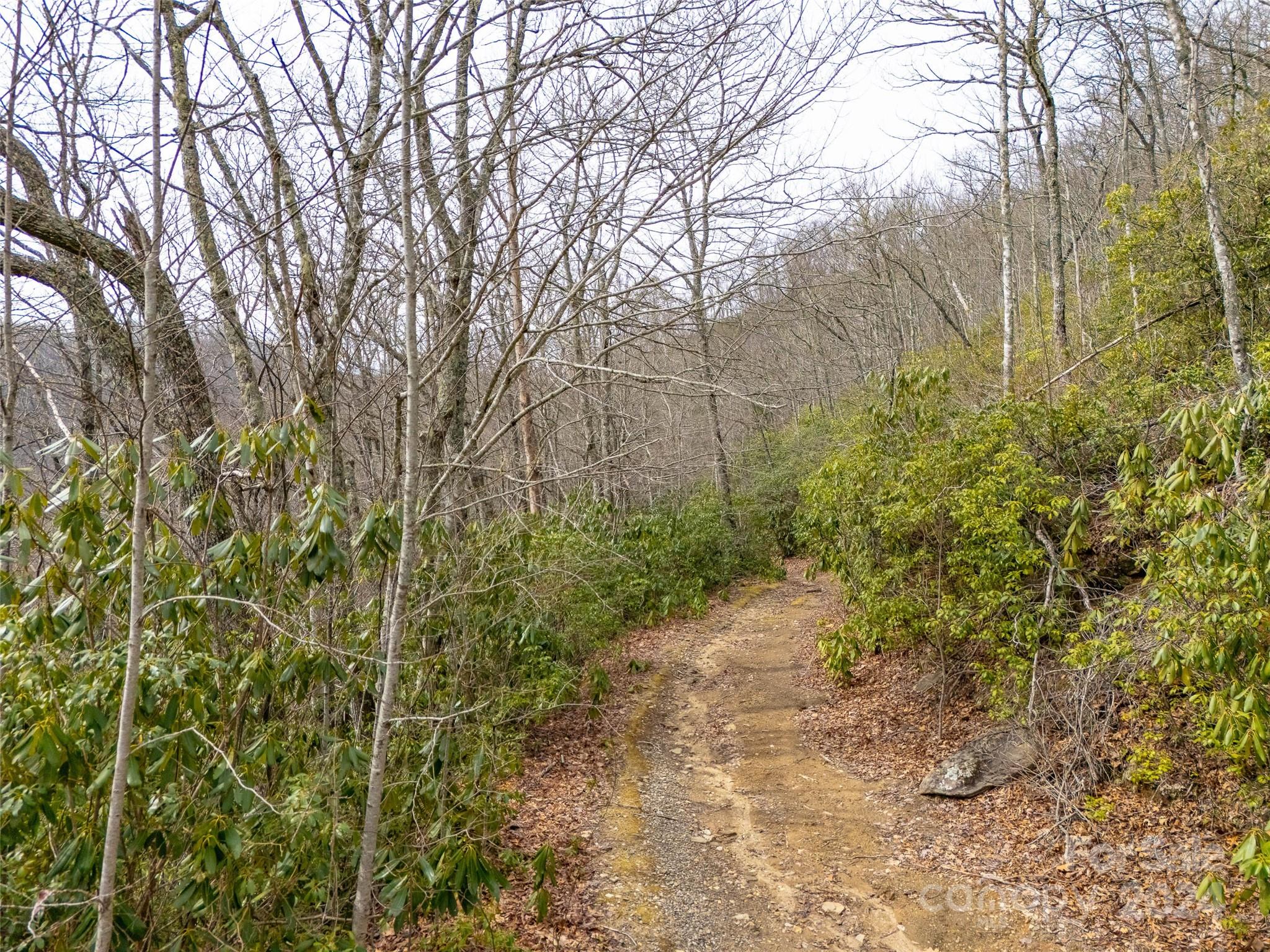 Lot 111 Cranberry Creek Road Property Photo 10