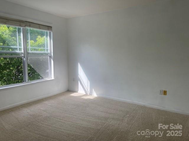 202 Brickton Village Circle 305 Property Photo 18