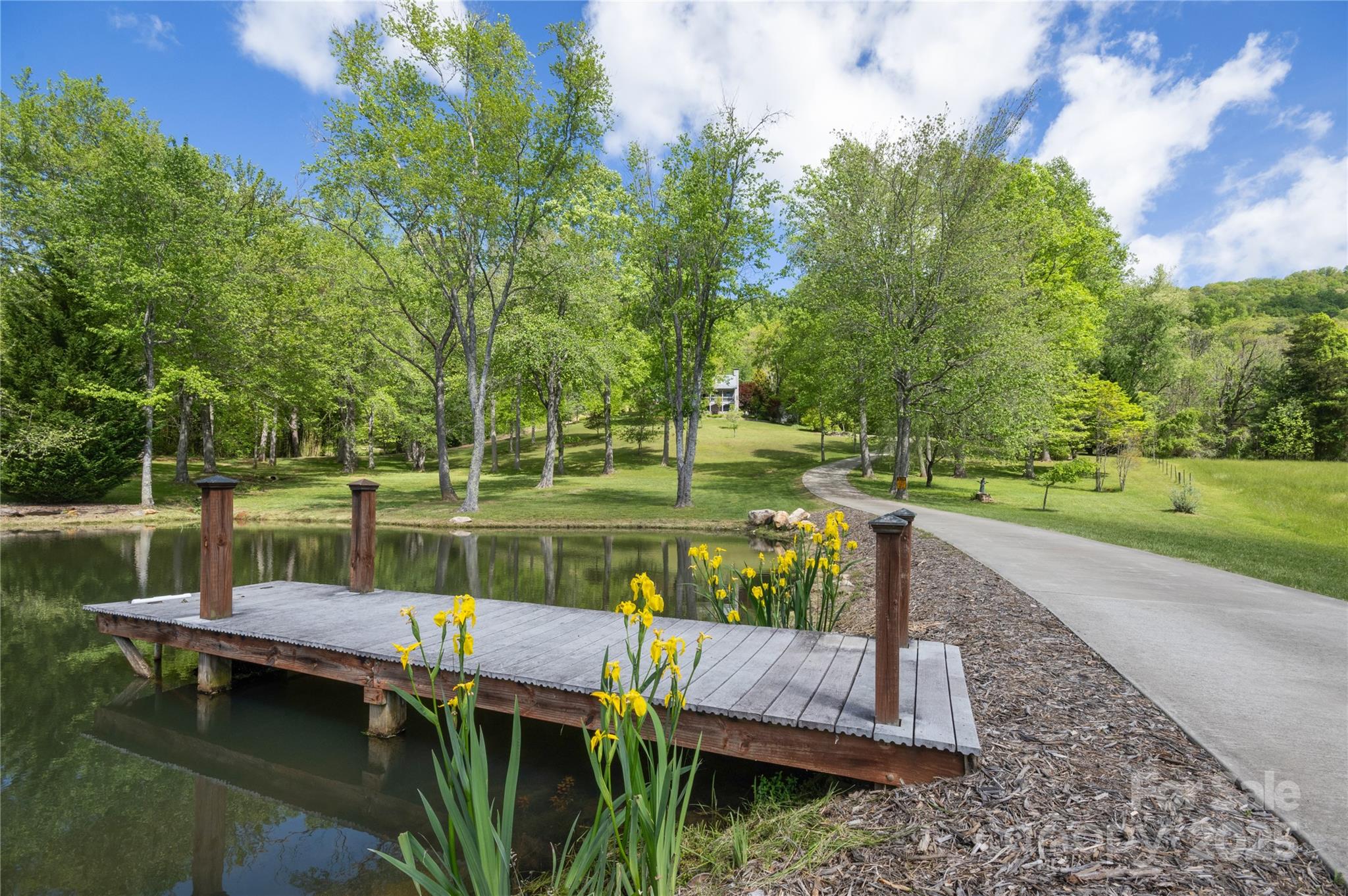 116 Sams Branch Road Property Photo 6