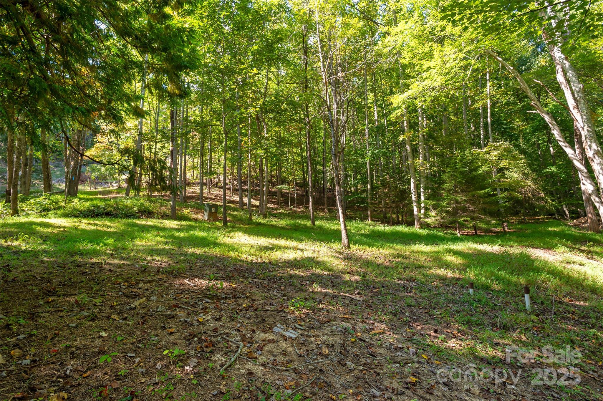 116 Sams Branch Road Property Photo 42