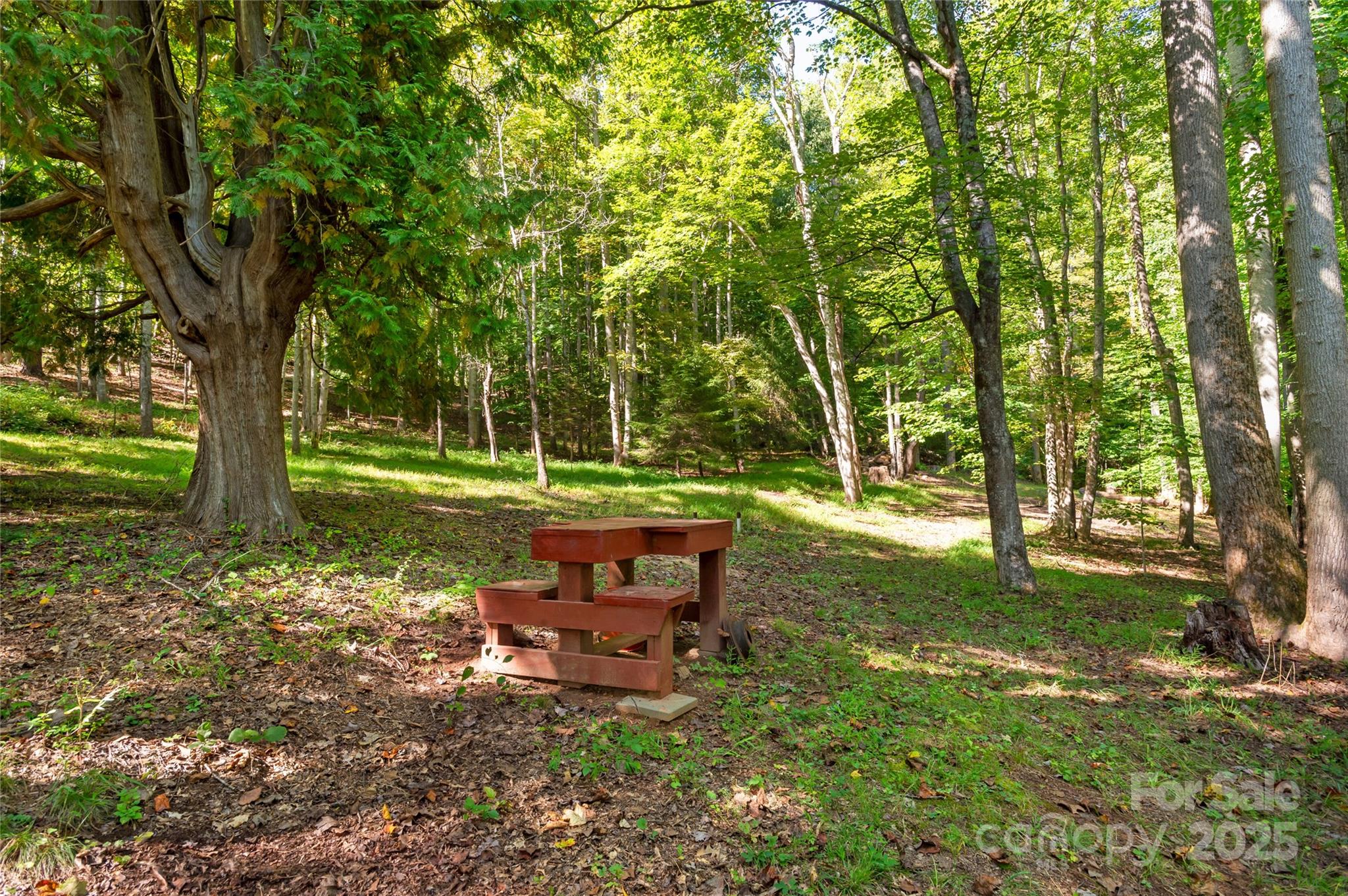116 Sams Branch Road Property Photo 43
