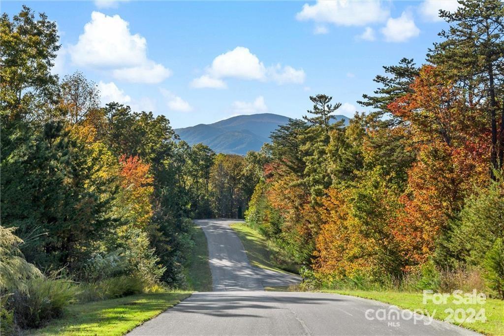 Lot 49 Bald Eagle Lane Property Photo 1