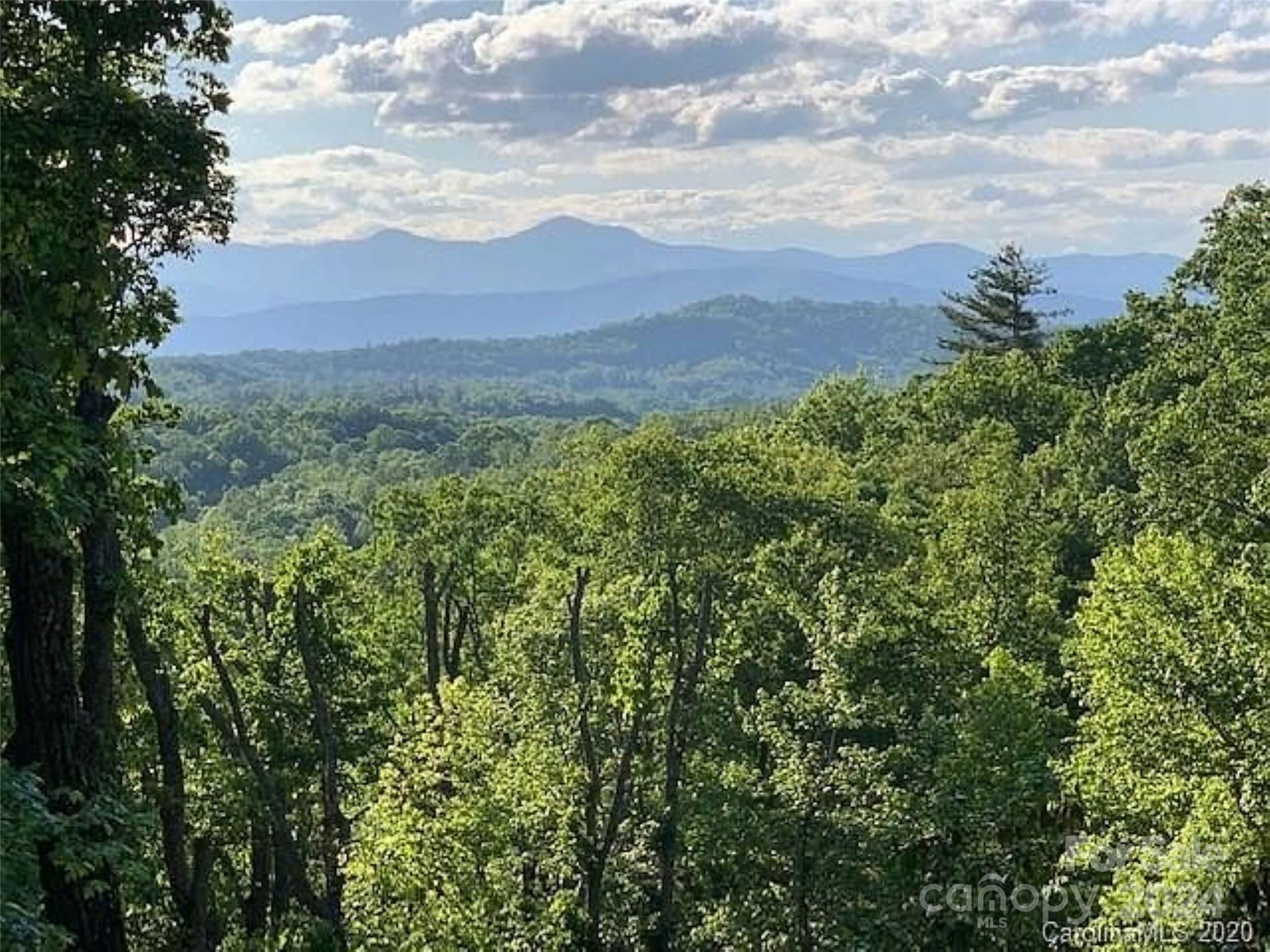 185 Crossvine Trail Property Photo 1