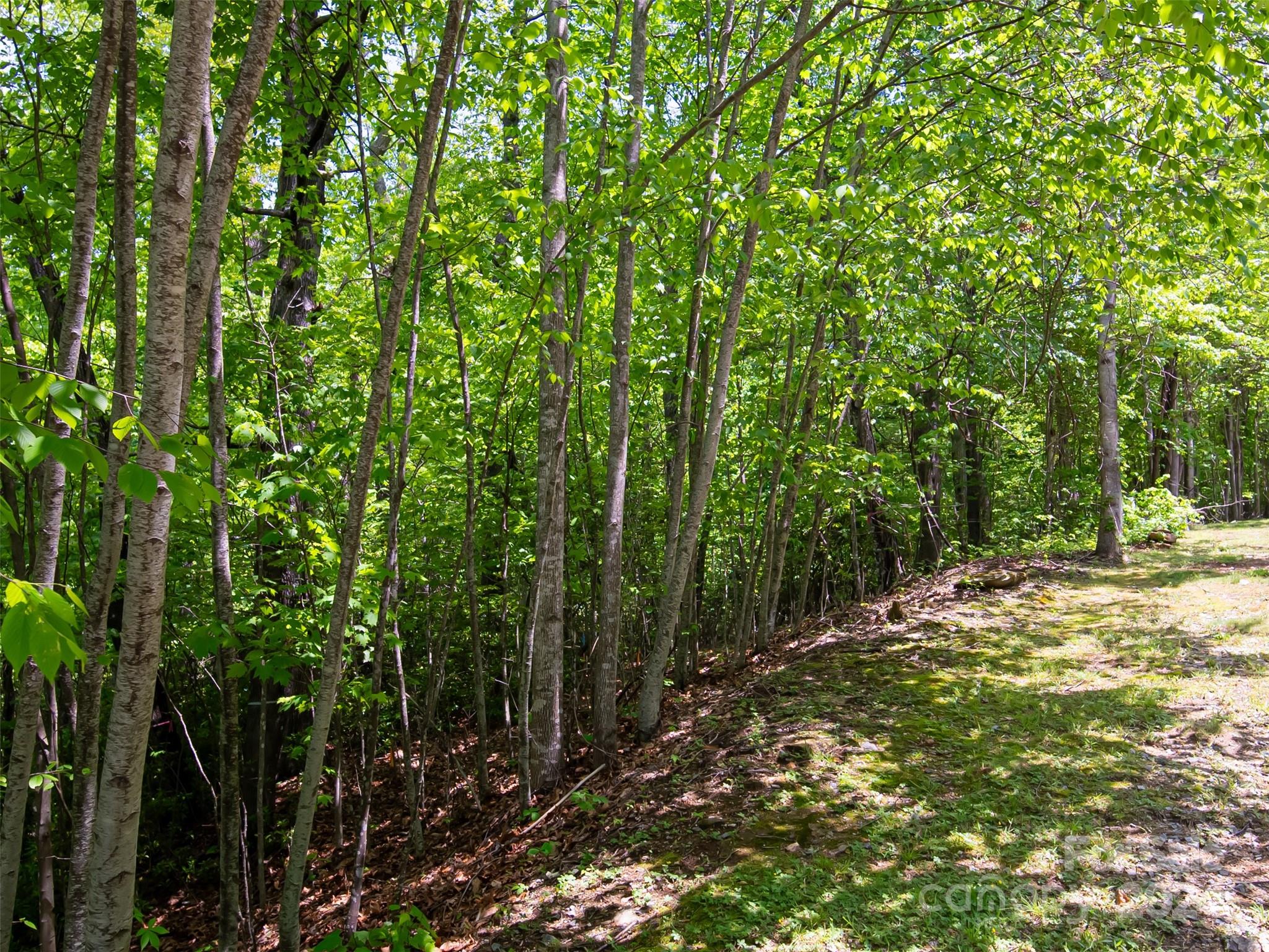 185 Crossvine Trail Property Photo 8