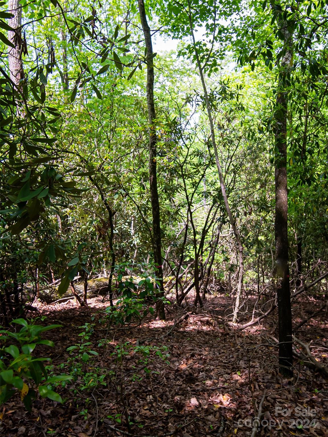 185 Crossvine Trail Property Photo 10