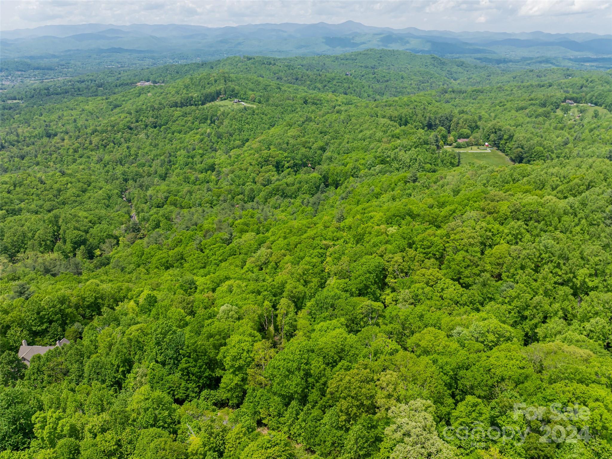 185 Crossvine Trail Property Photo 18