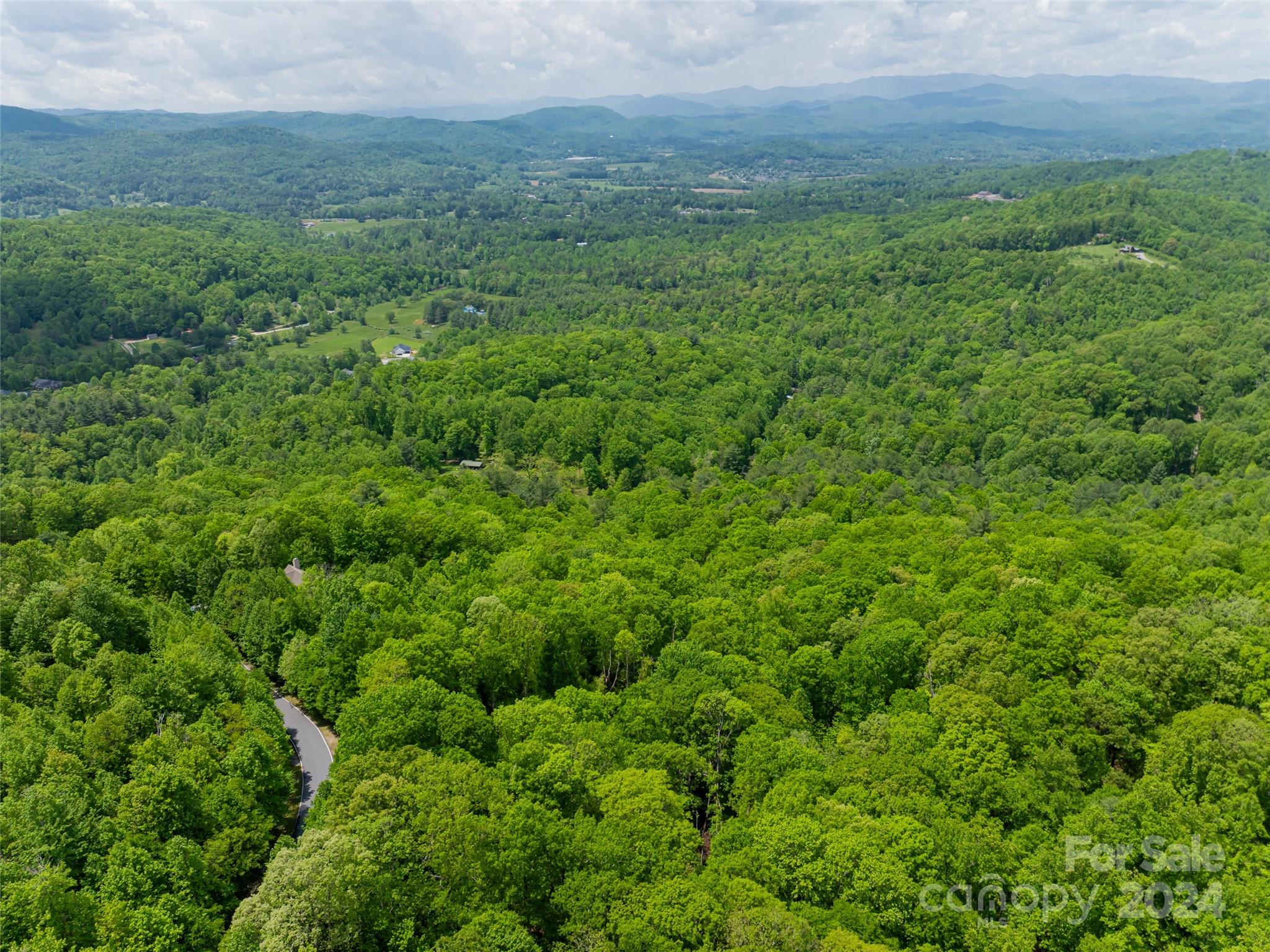 185 Crossvine Trail Property Photo 19