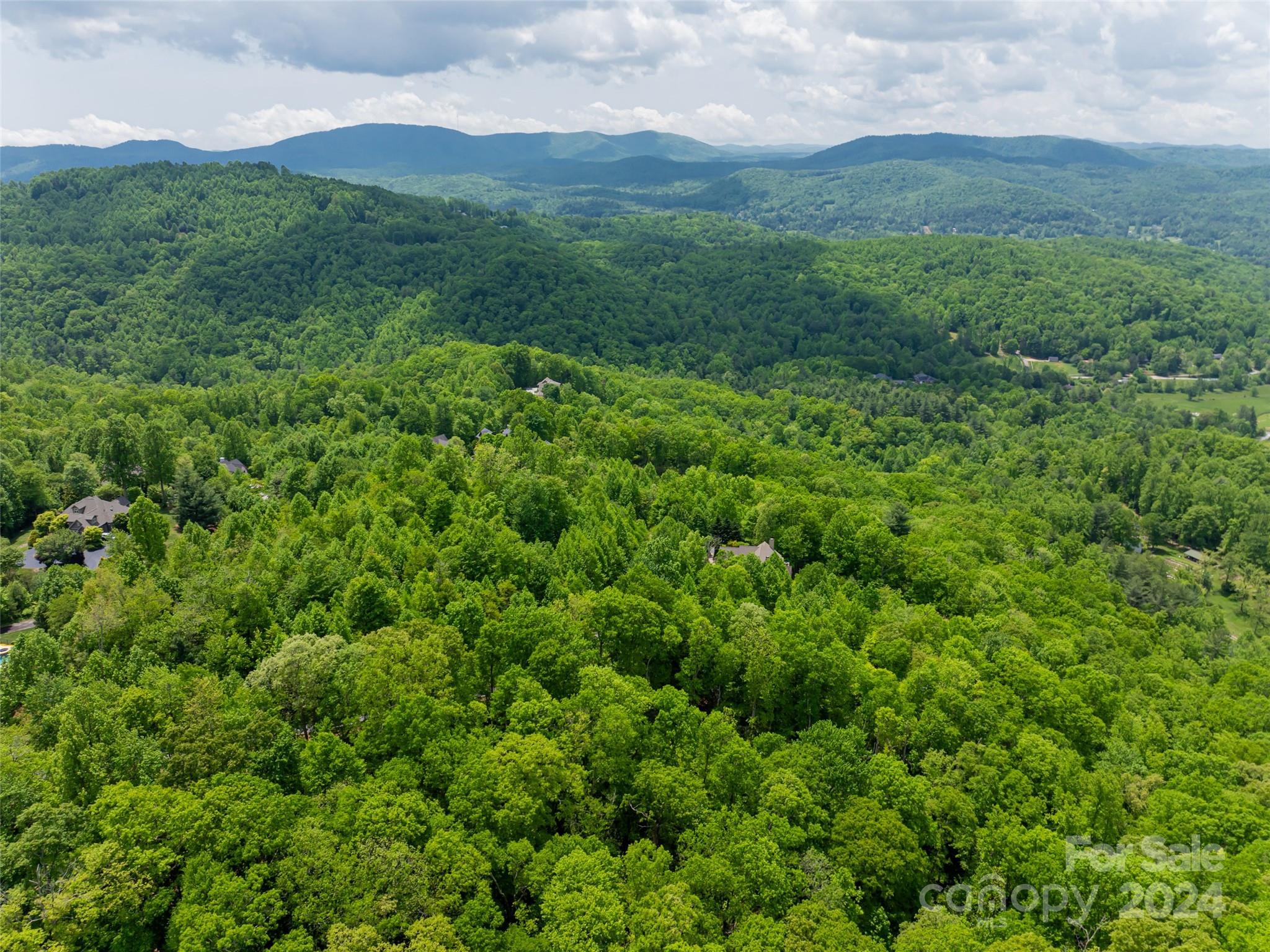 185 Crossvine Trail Property Photo 20